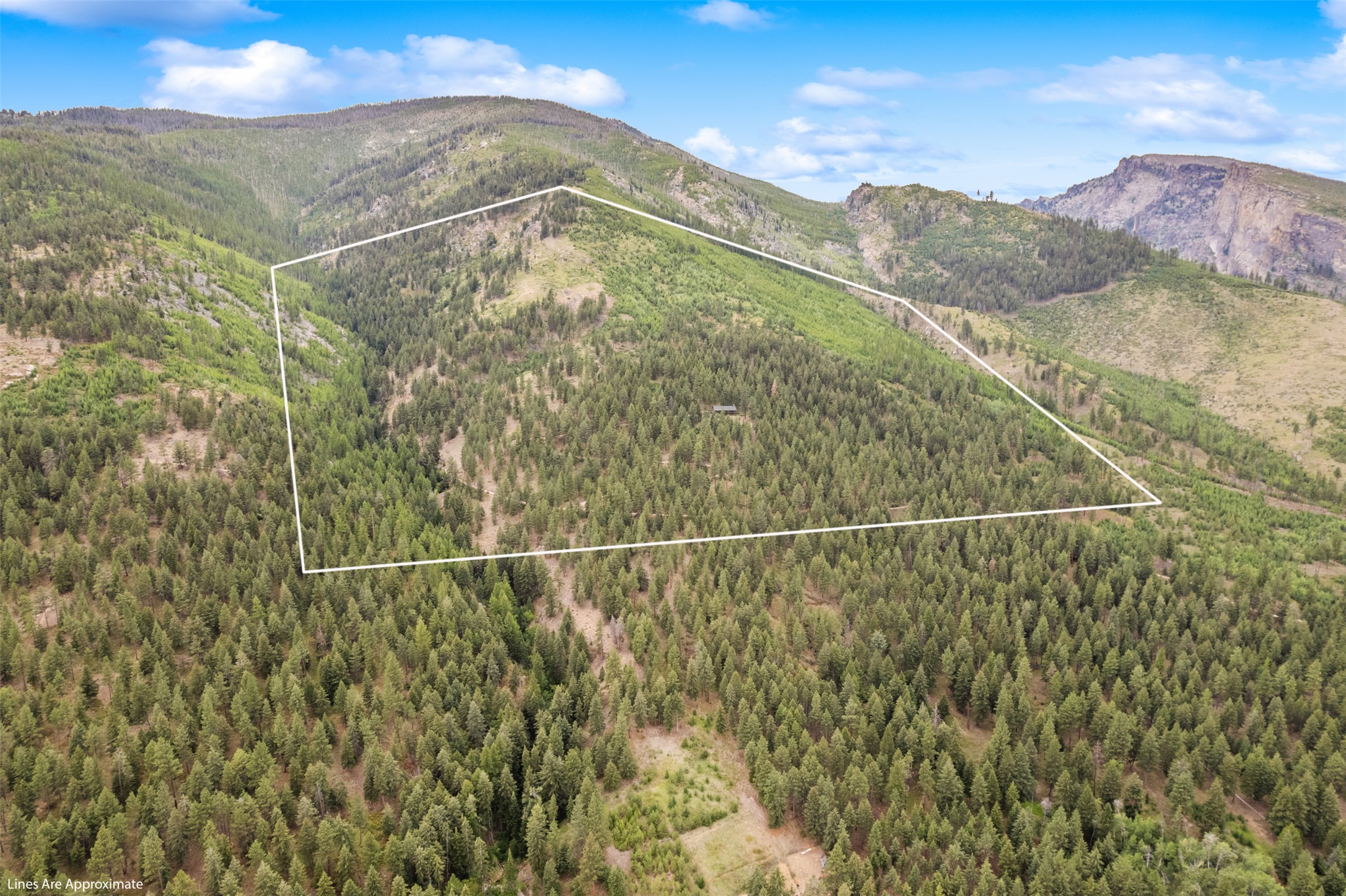 714 Eagles Roost Lane Property Photo 7