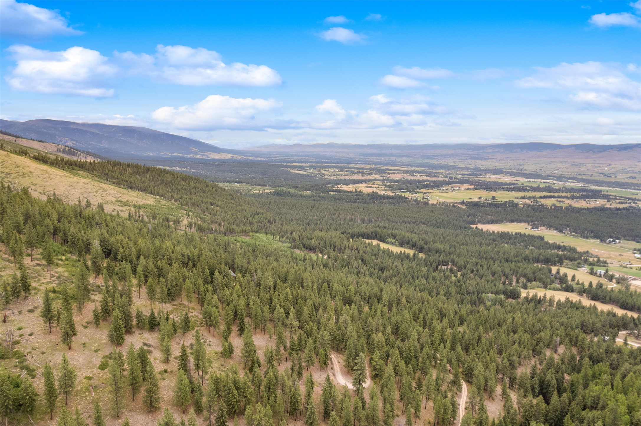 714 Eagles Roost Lane Property Photo 8