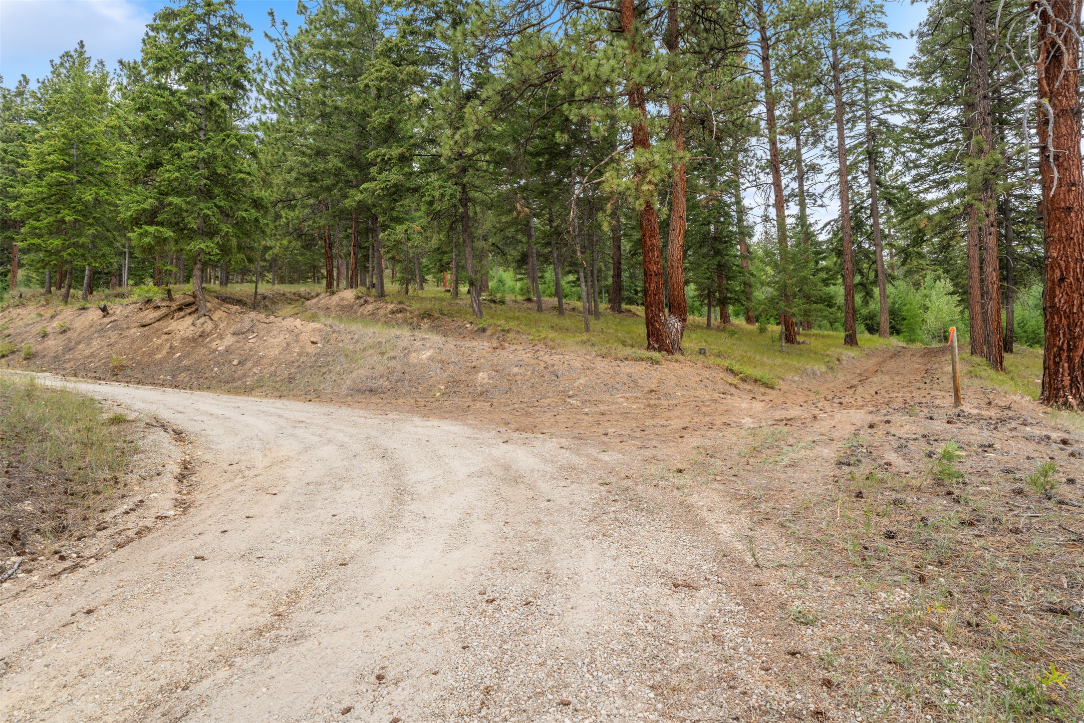 714 Eagles Roost Lane Property Photo 41