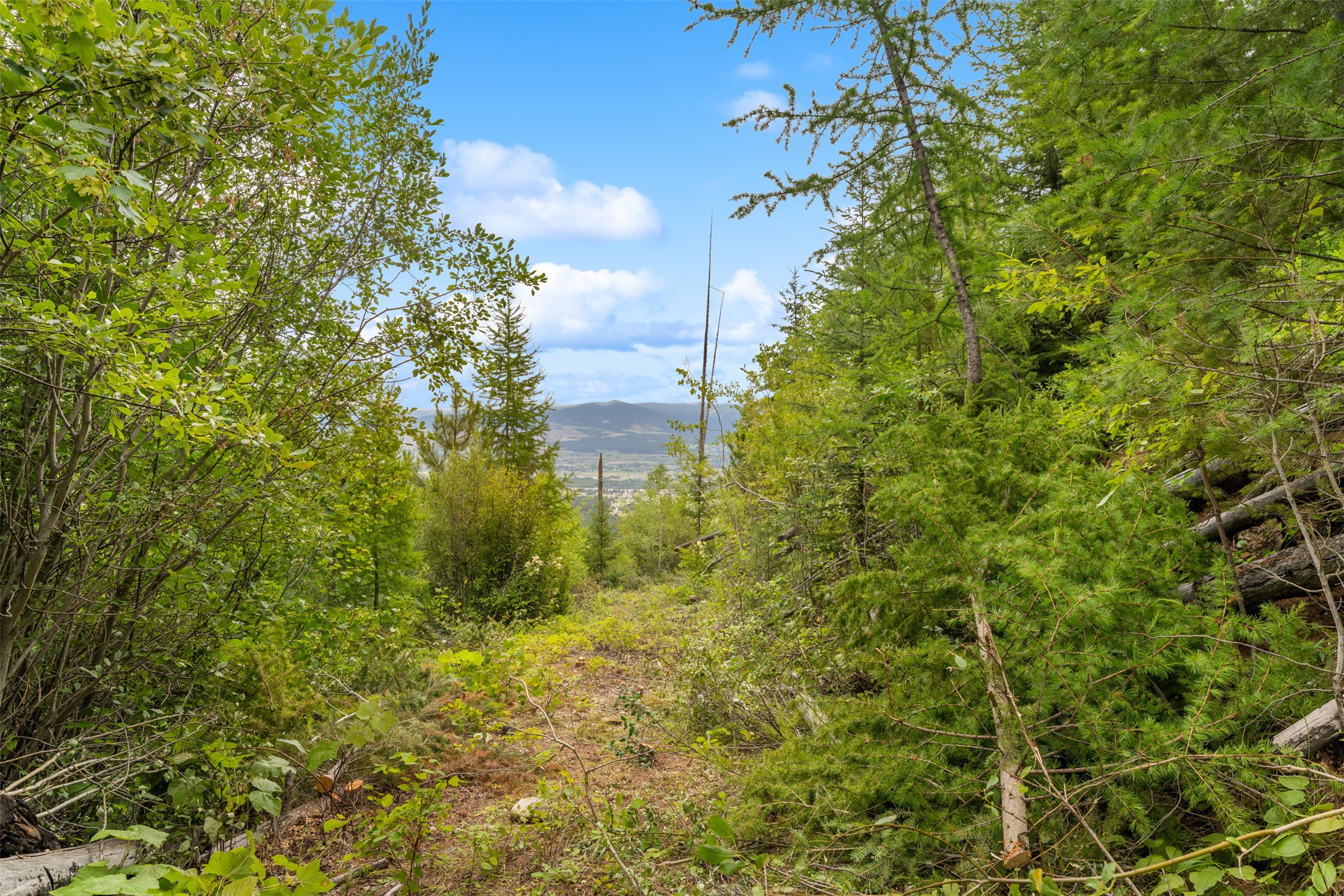 714 Eagles Roost Lane Property Photo 42