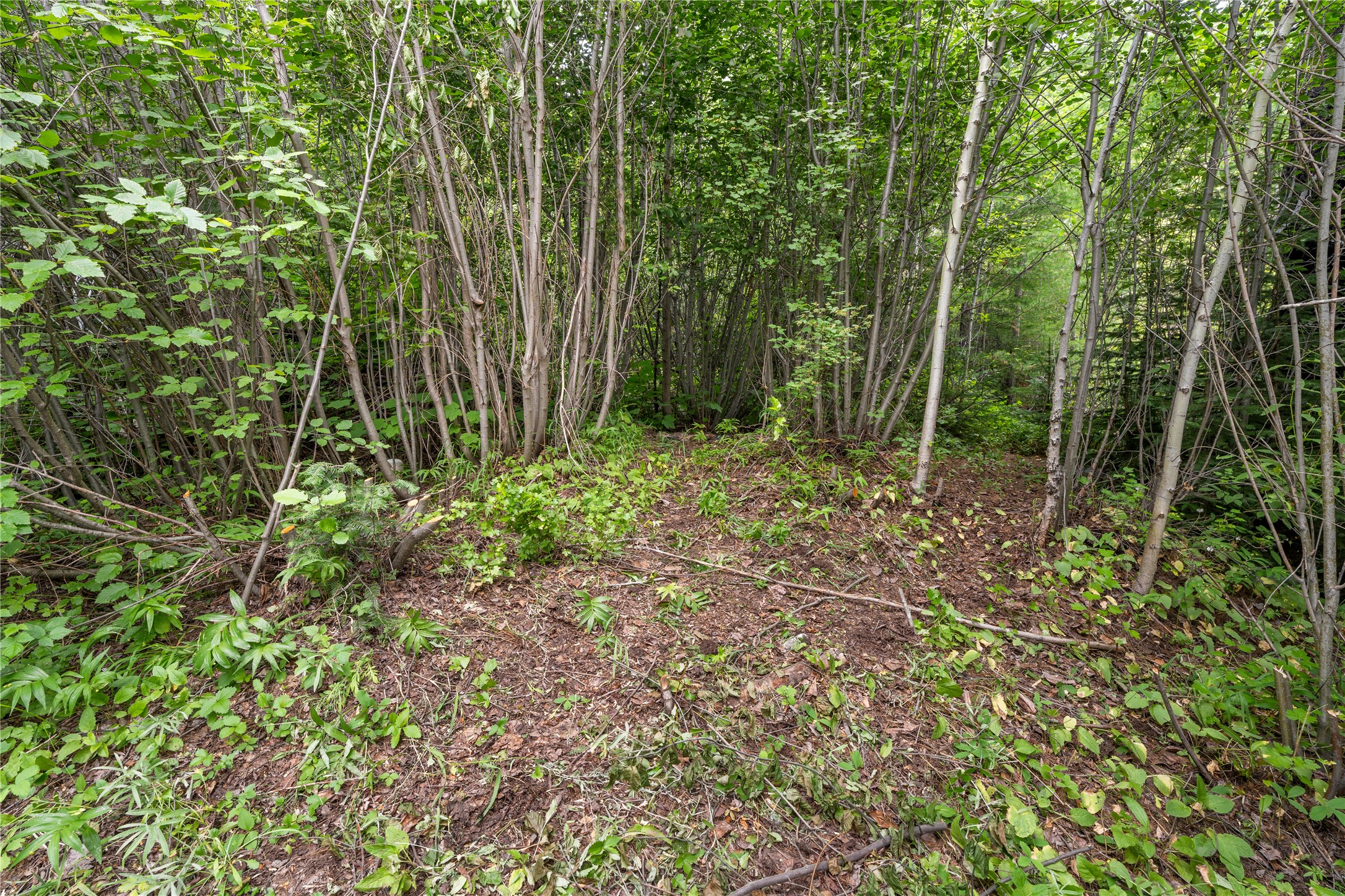 714 Eagles Roost Lane Property Photo 43