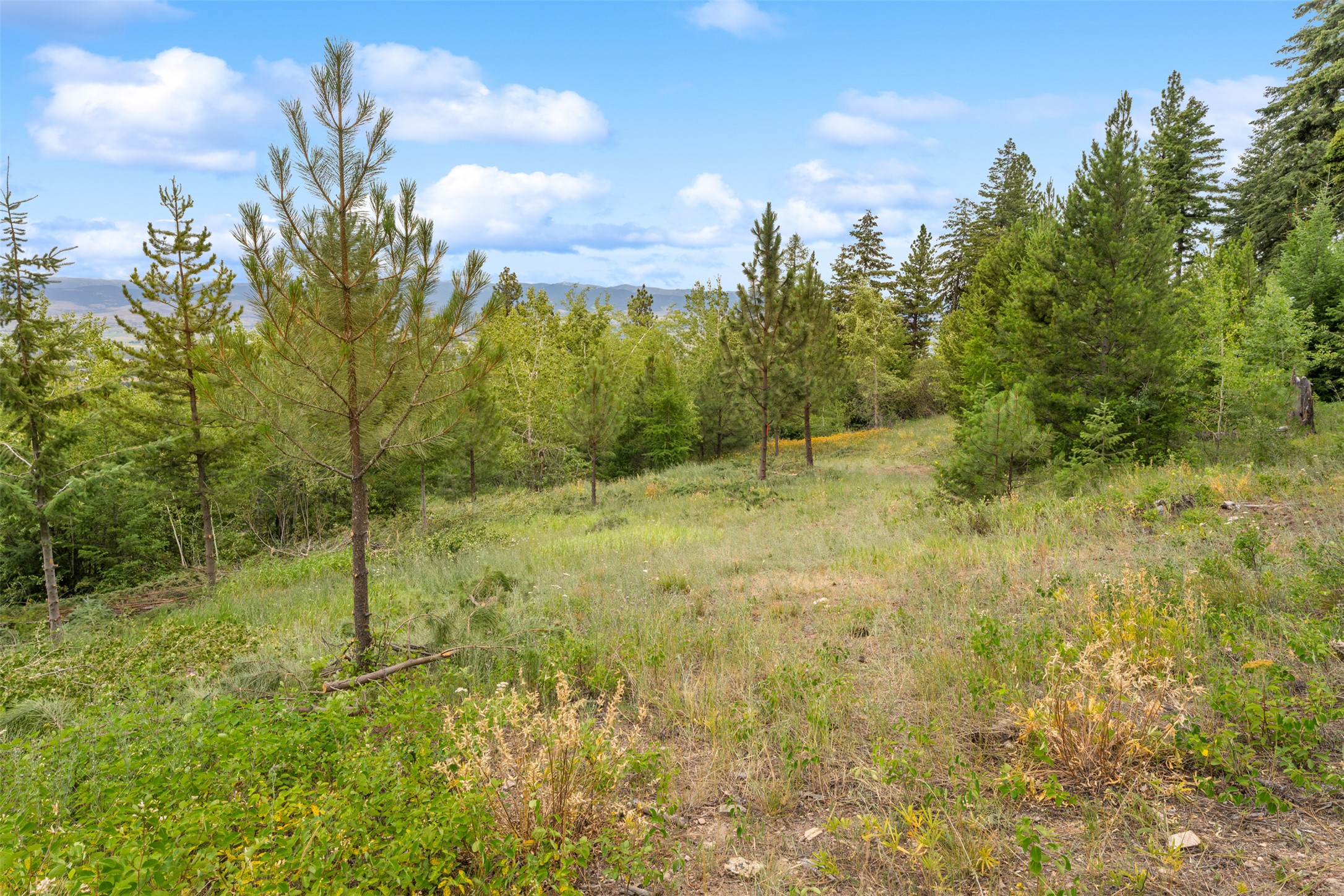 714 Eagles Roost Lane Property Photo 44