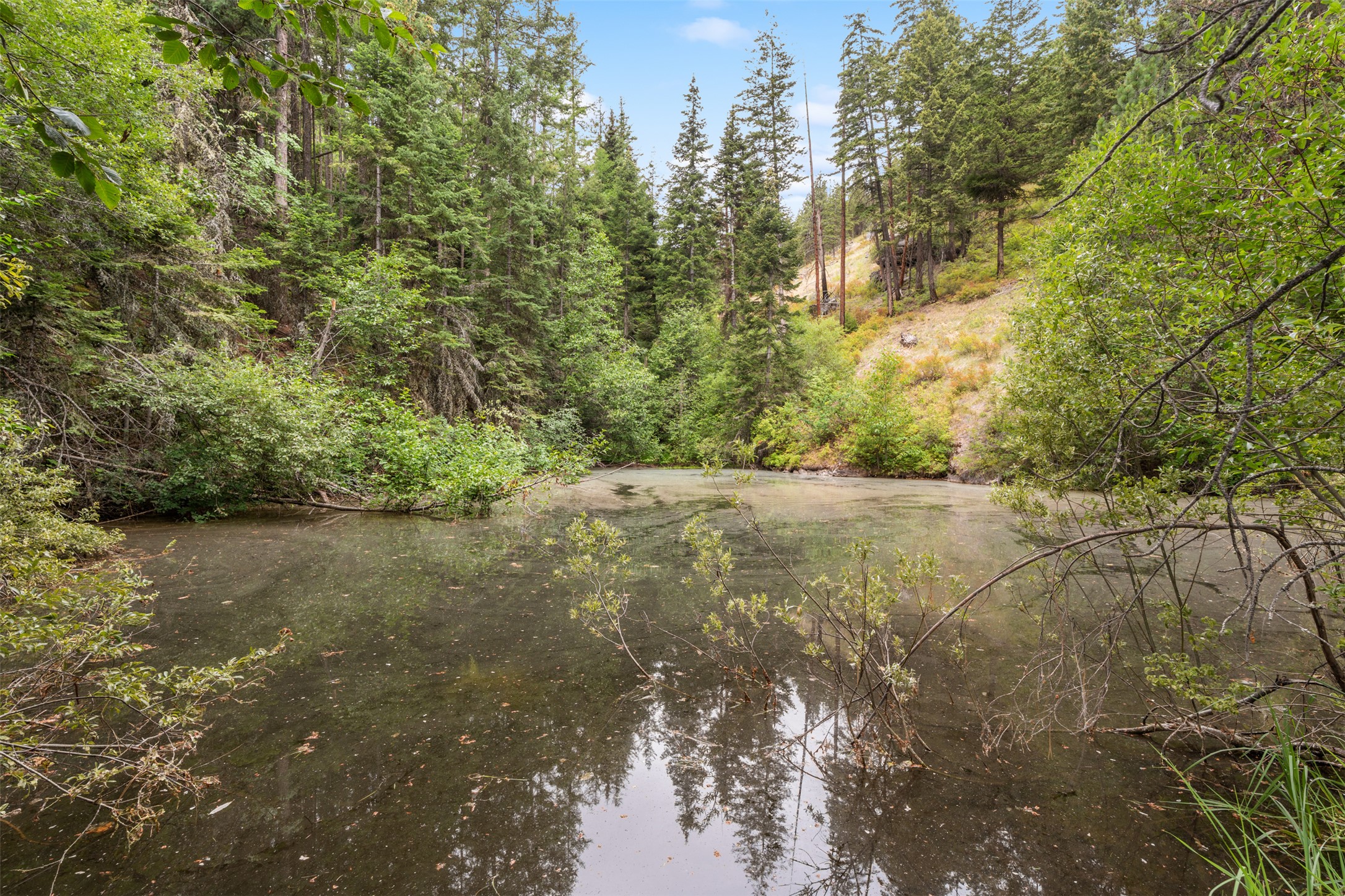 714 Eagles Roost Lane Property Photo 45