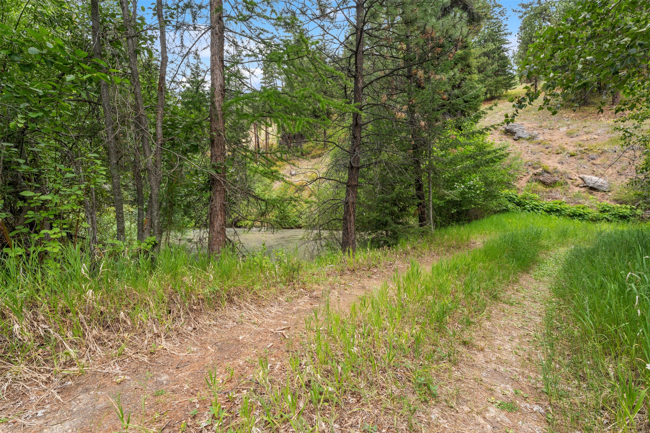 714 Eagles Roost Lane Property Photo 46