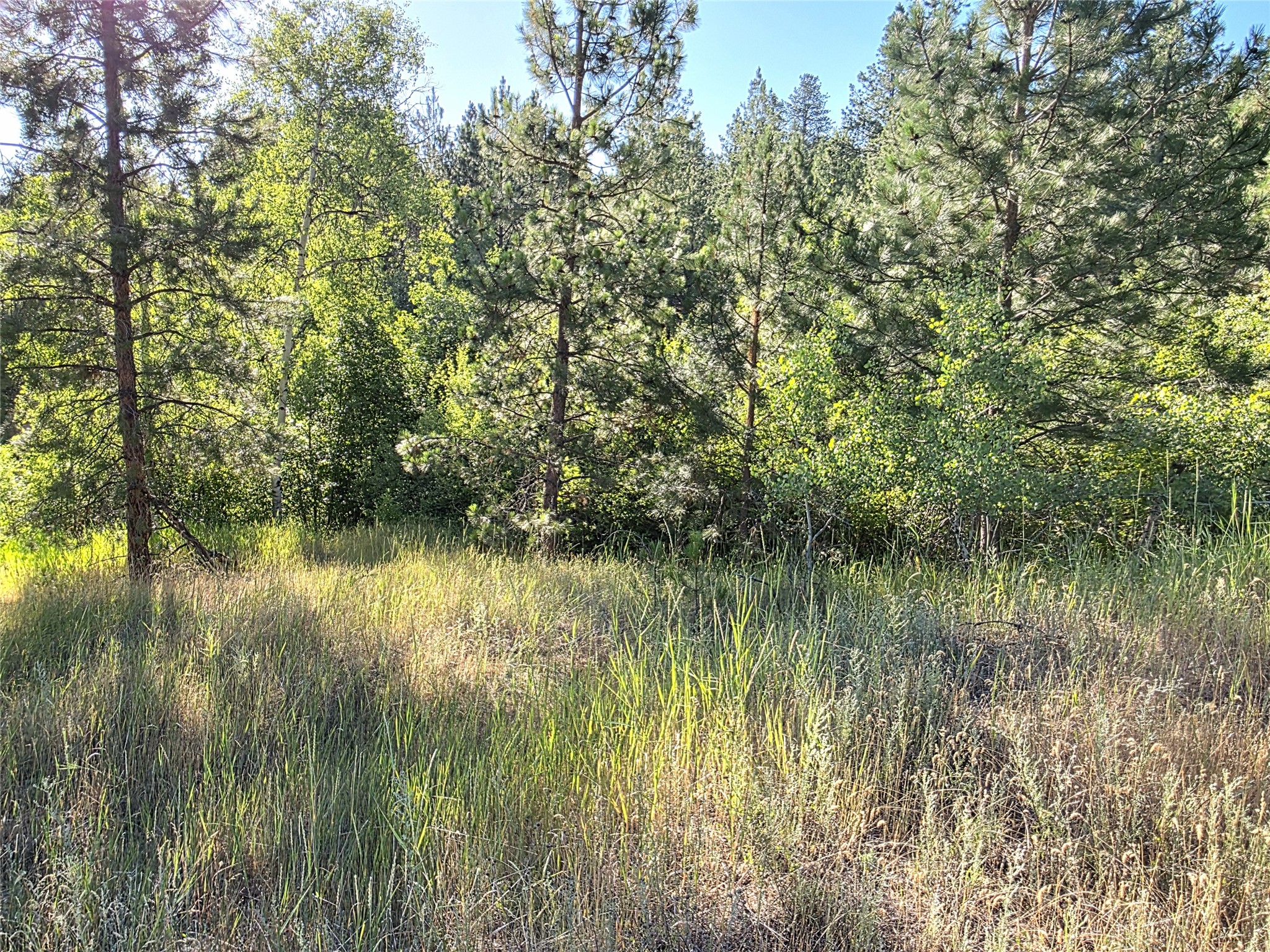 1179 Garden Place Property Photo 76