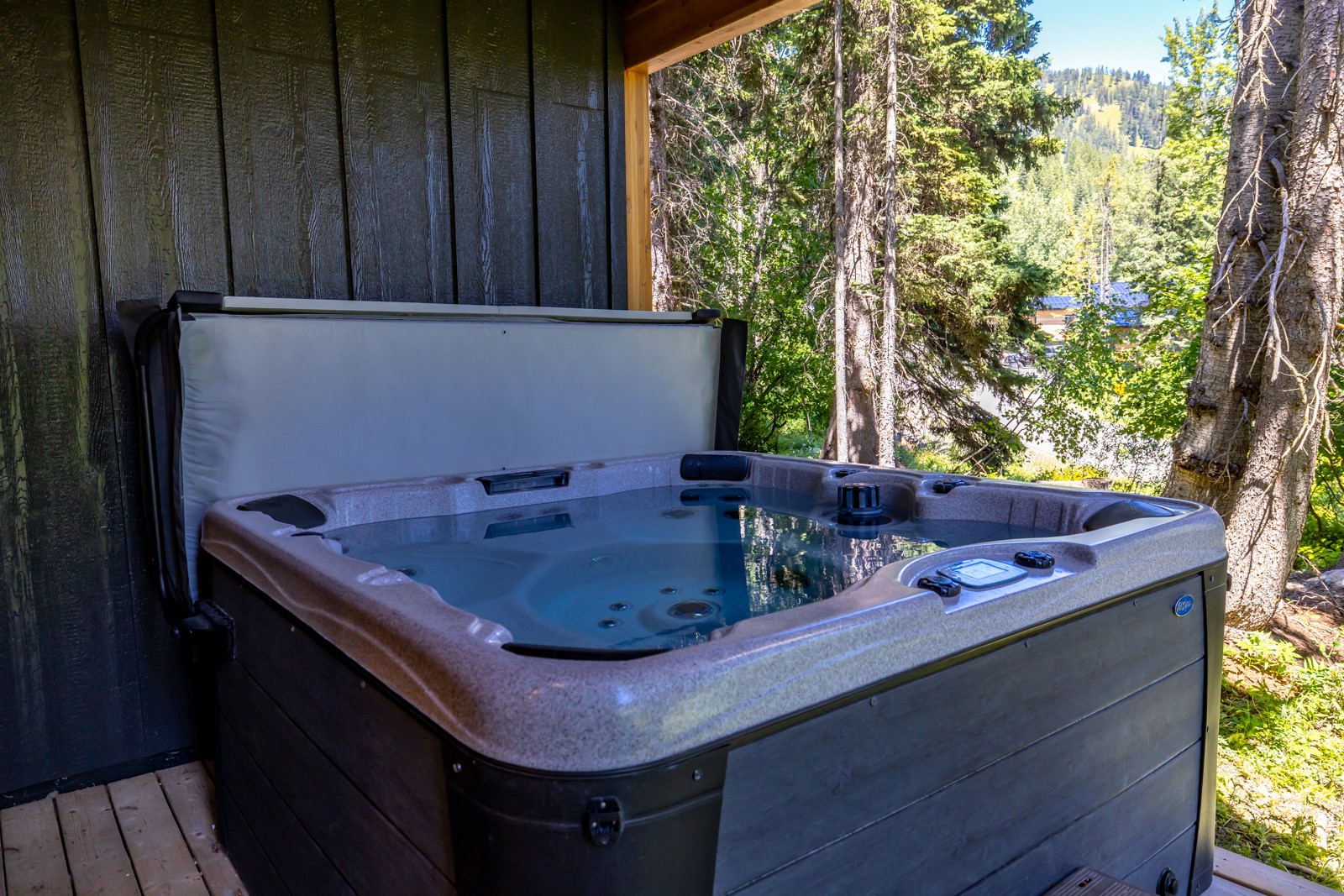 3827 Alpine Glow Avenue B Property Photo 52