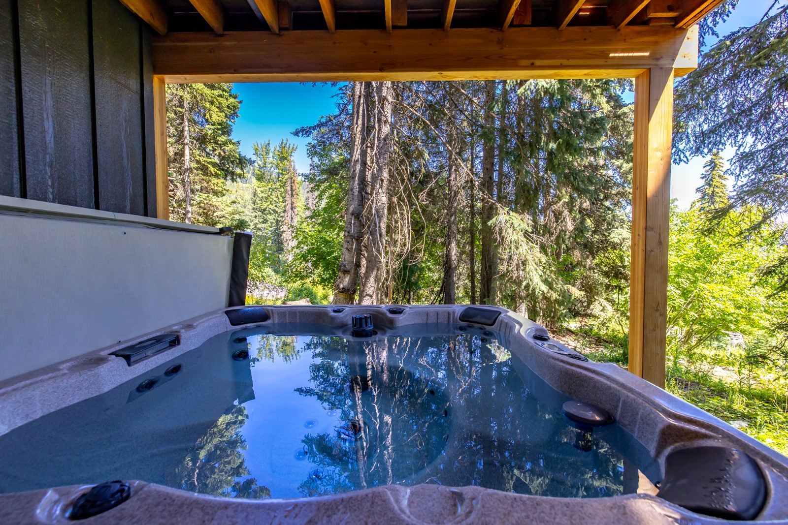 3827 Alpine Glow Avenue B Property Photo 53