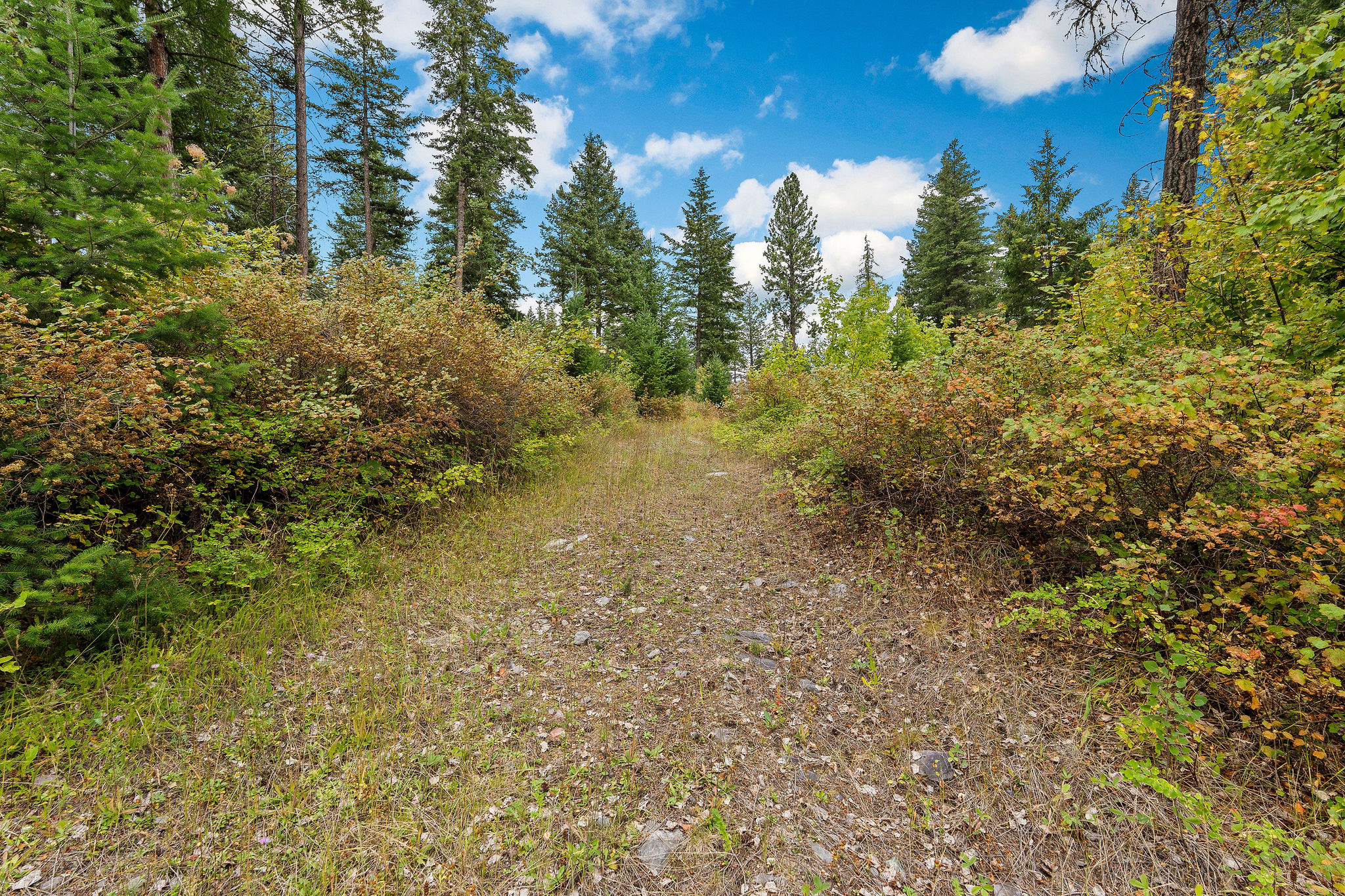 157 Pinto Trail Property Photo 44