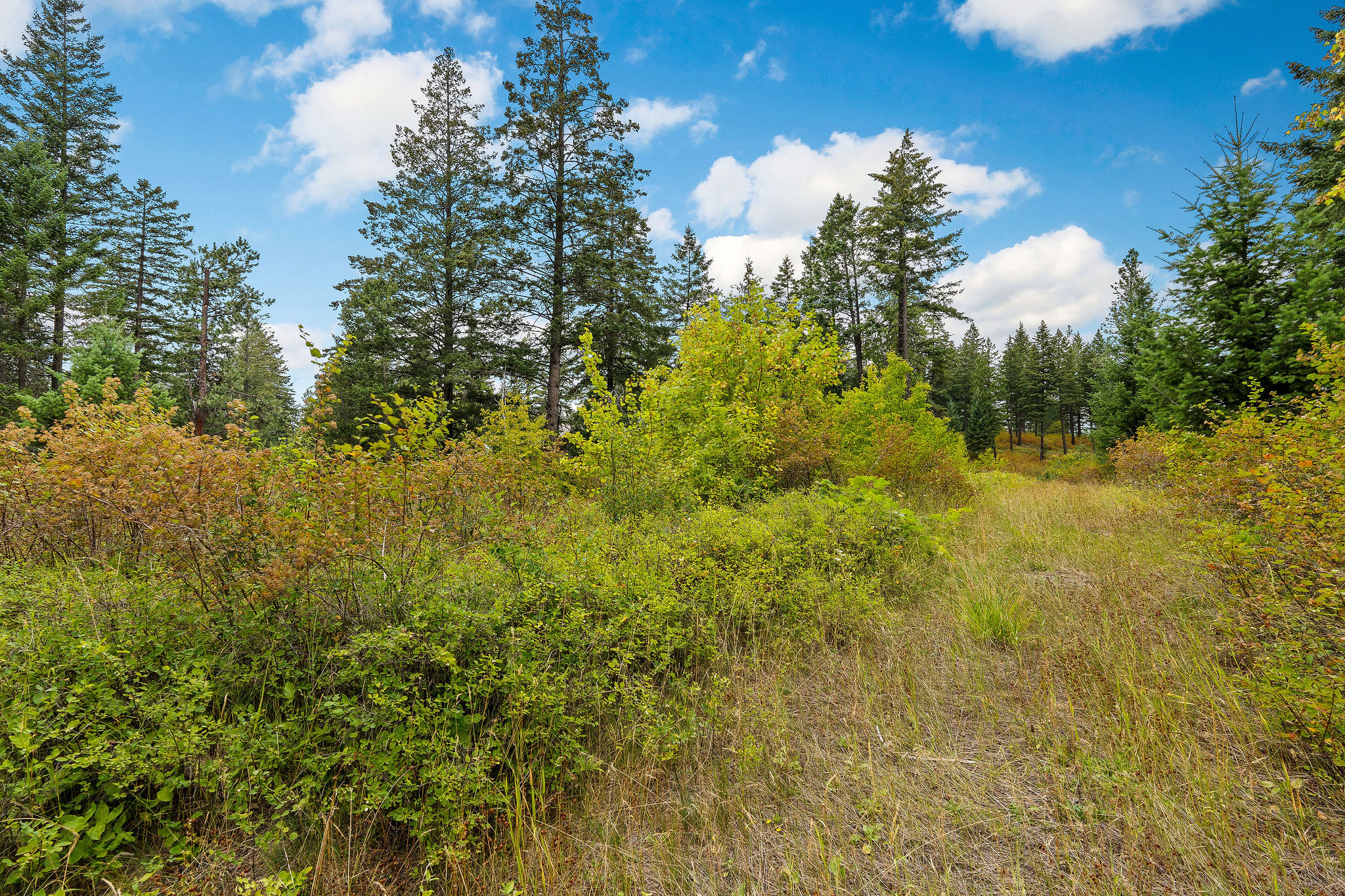 157 Pinto Trail Property Photo 47