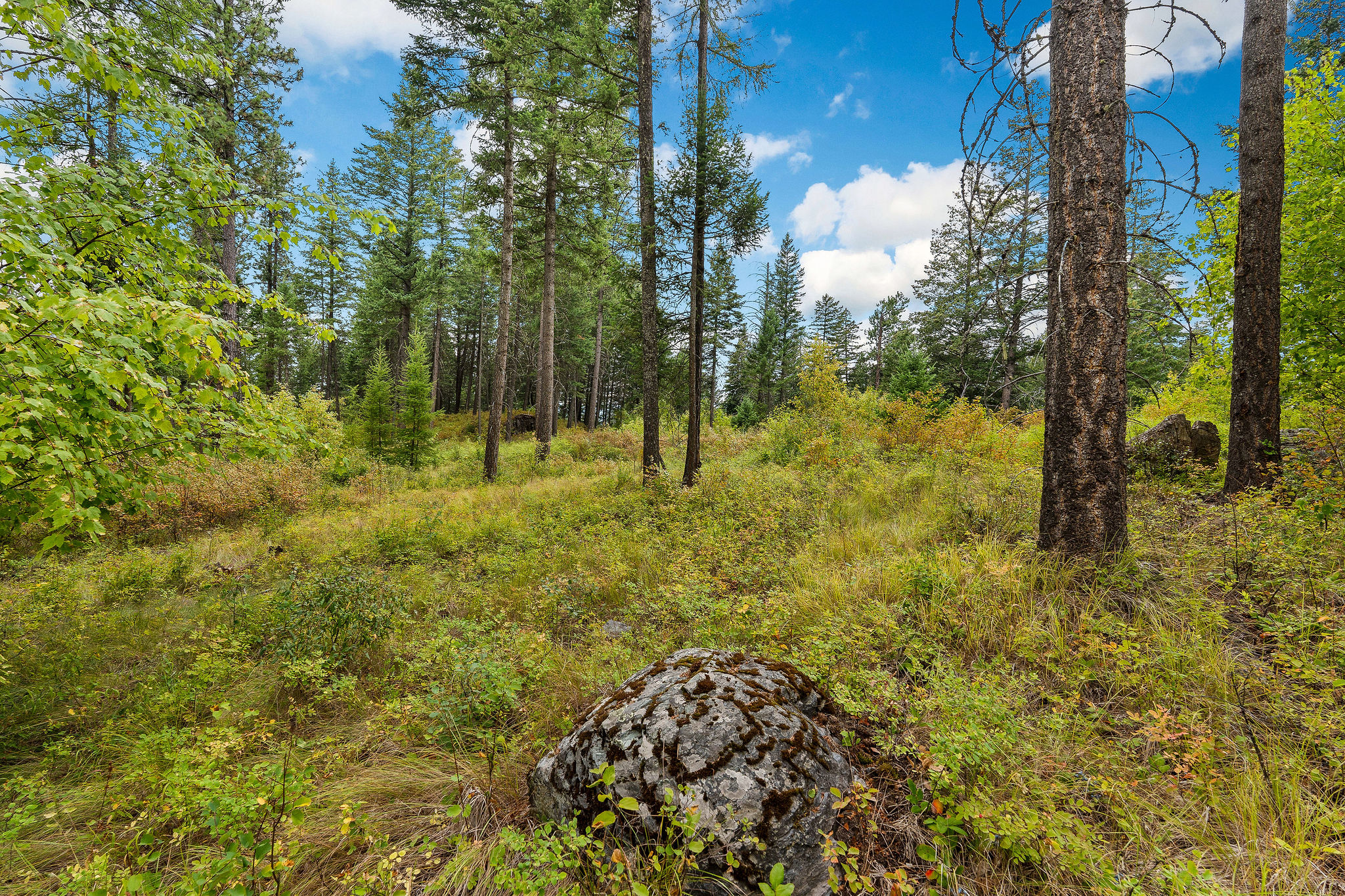 157 Pinto Trail Property Photo 50