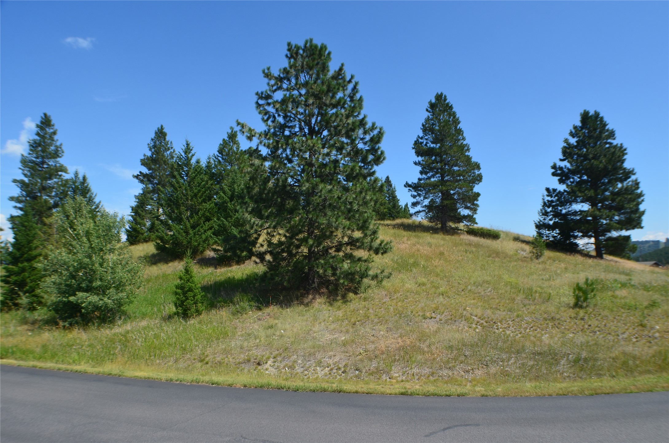 138 Ashley Hills Drive Property Photo 1