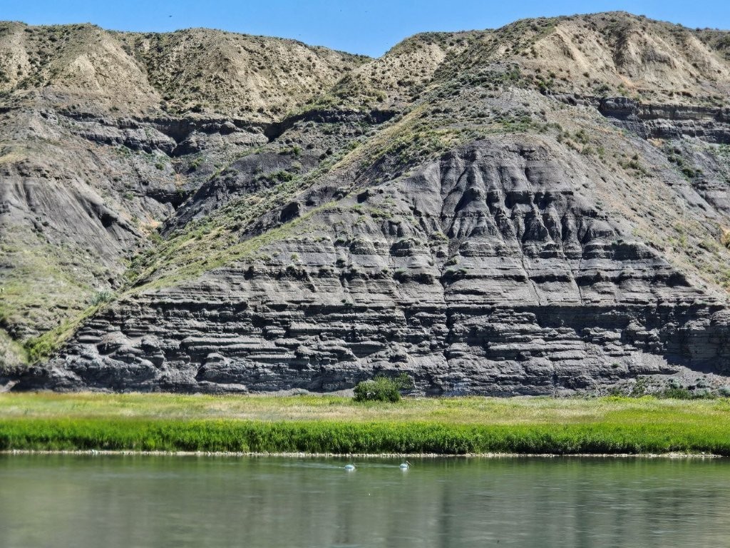 3391 Vernon Road Property Photo 14