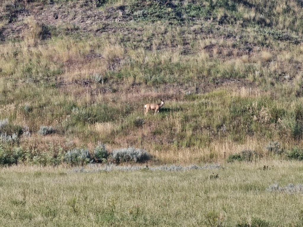 3391 Vernon Road Property Photo 17