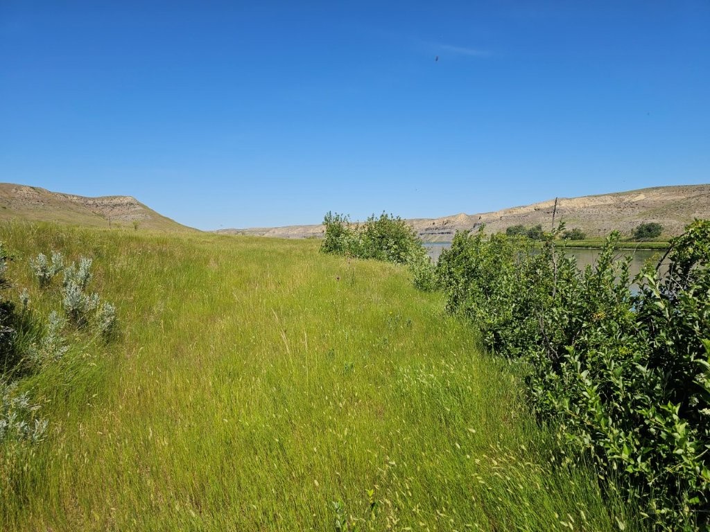 3391 Vernon Road Property Photo 19