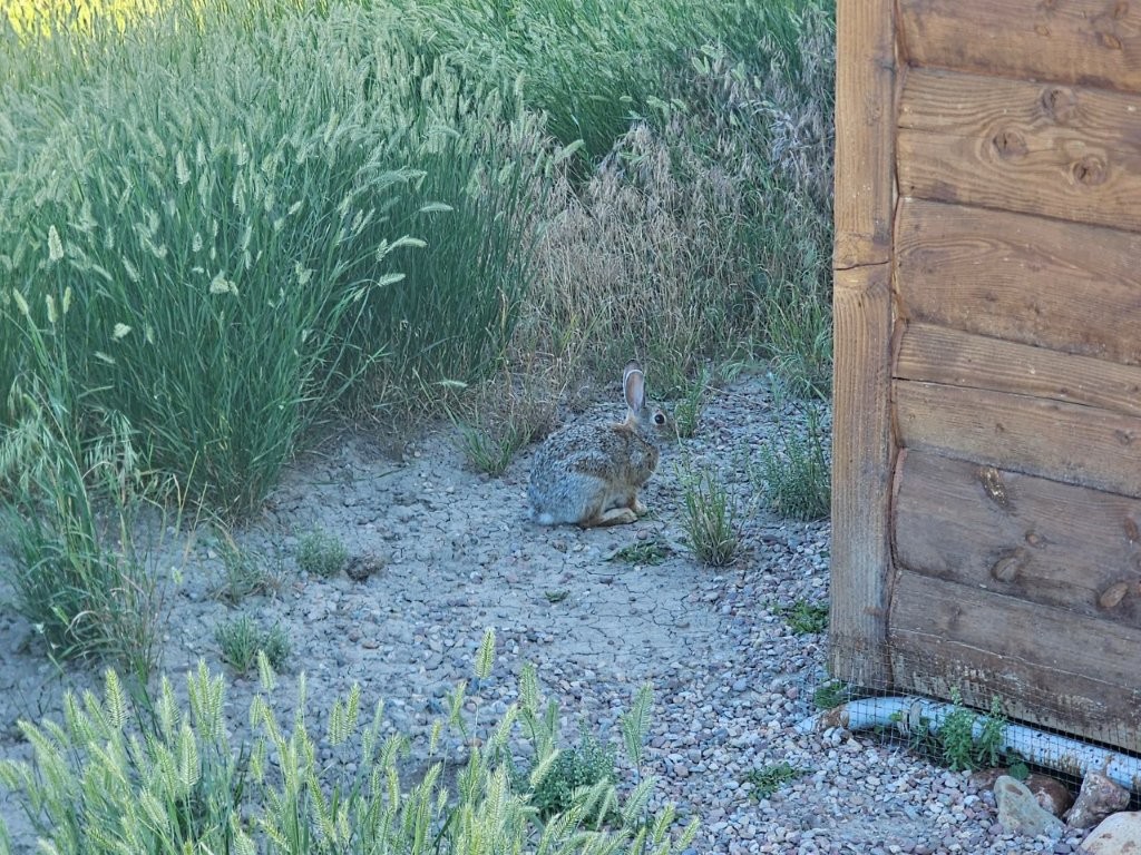 3391 Vernon Road Property Photo 21