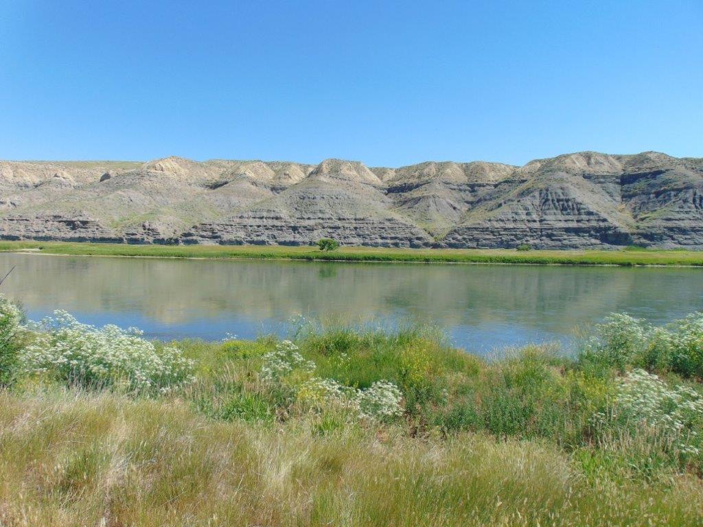 3391 Vernon Road Property Photo 39