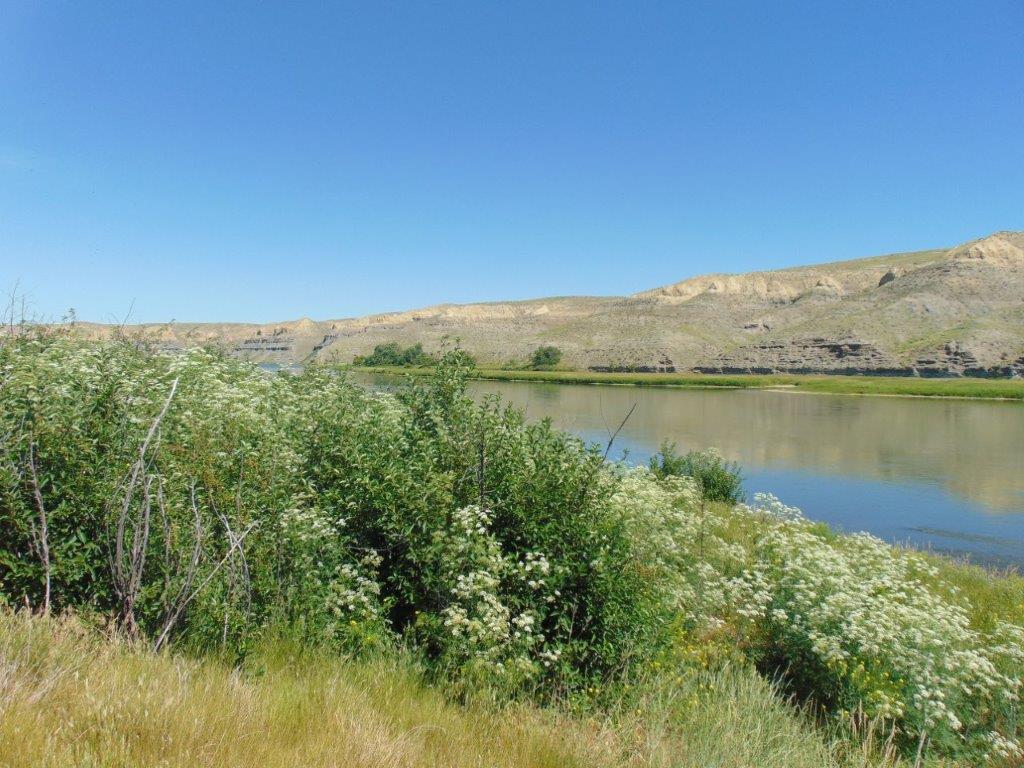 3391 Vernon Road Property Photo 40