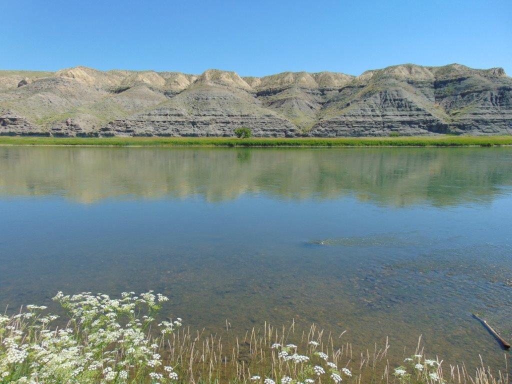 3391 Vernon Road Property Photo 45