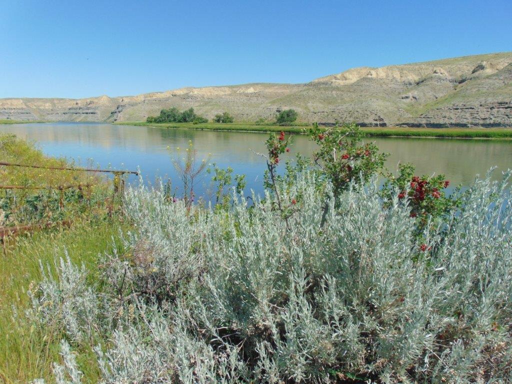 3391 Vernon Road Property Photo 46