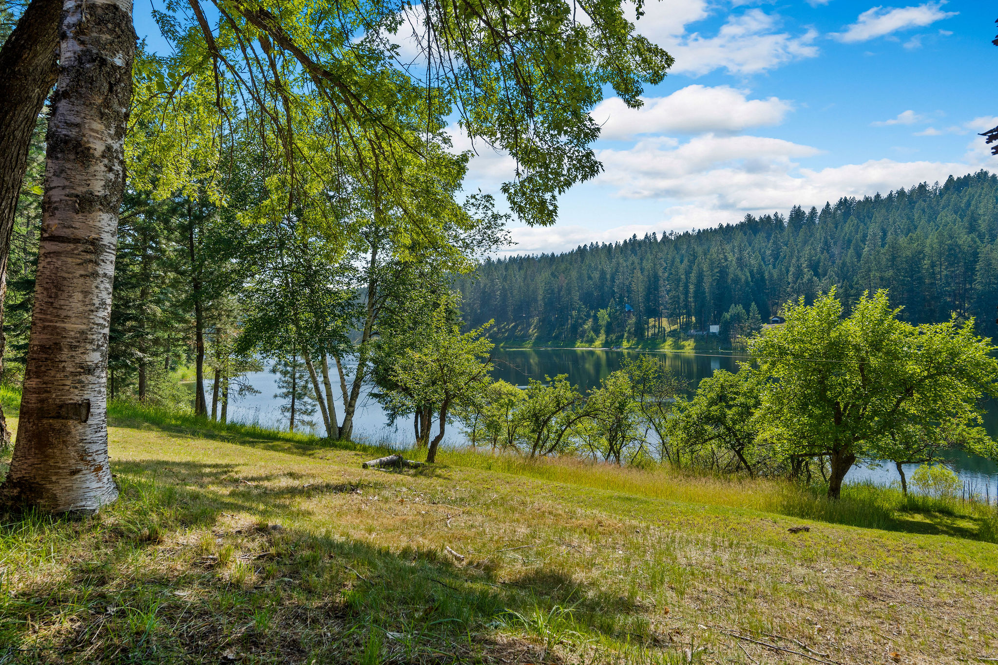 890 Mccaffery Road Property Photo 39