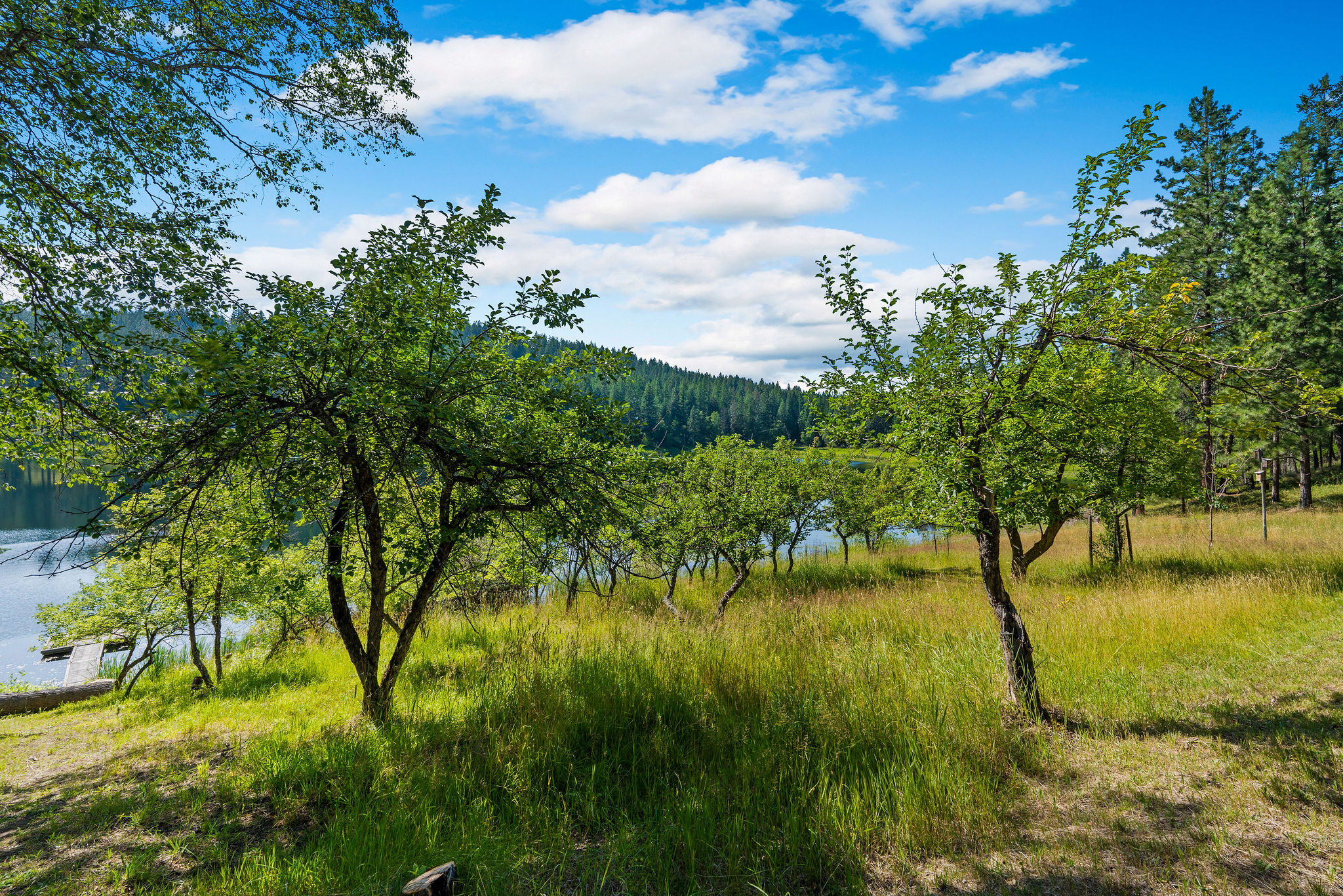 890 Mccaffery Road Property Photo 42