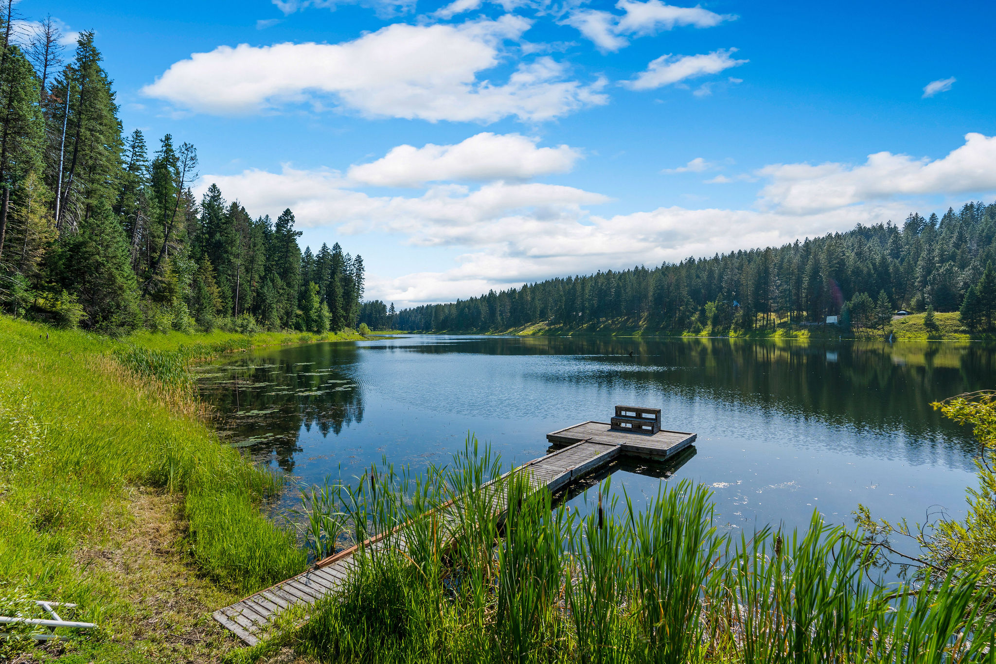 890 Mccaffery Road Property Photo 43