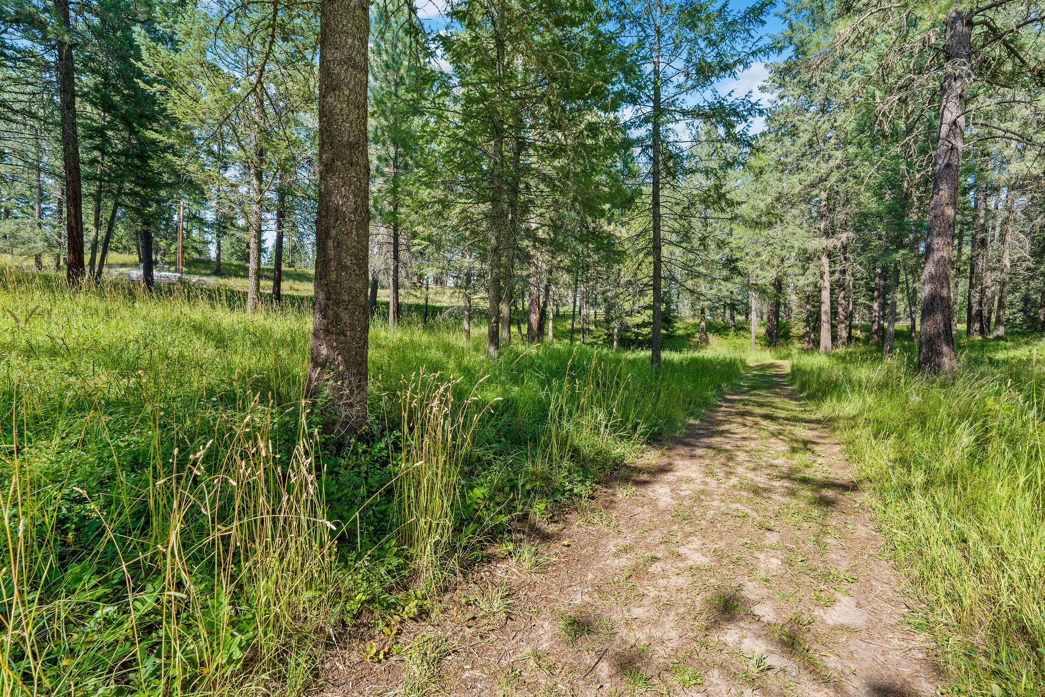 890 Mccaffery Road Property Photo 44