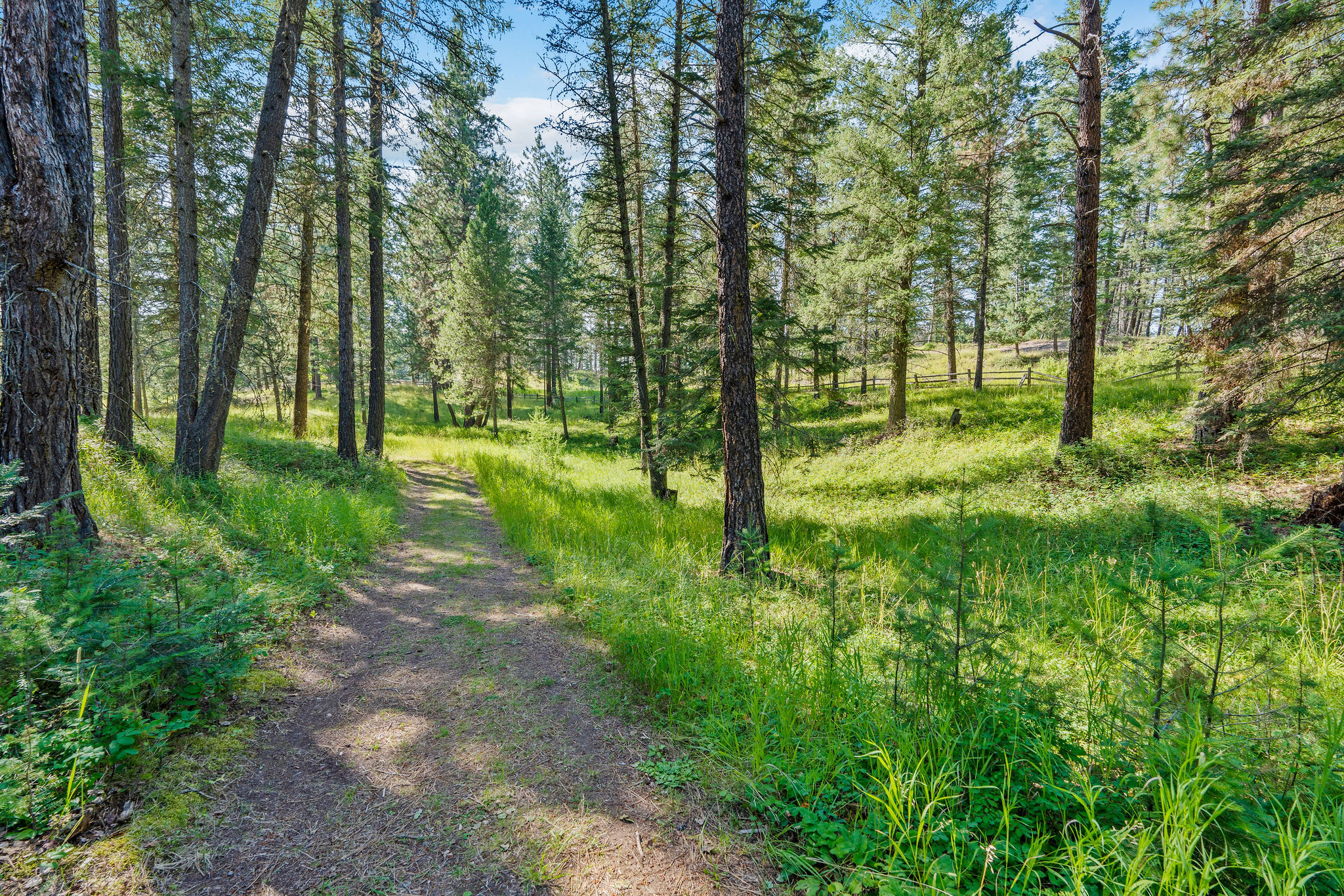 890 Mccaffery Road Property Photo 45