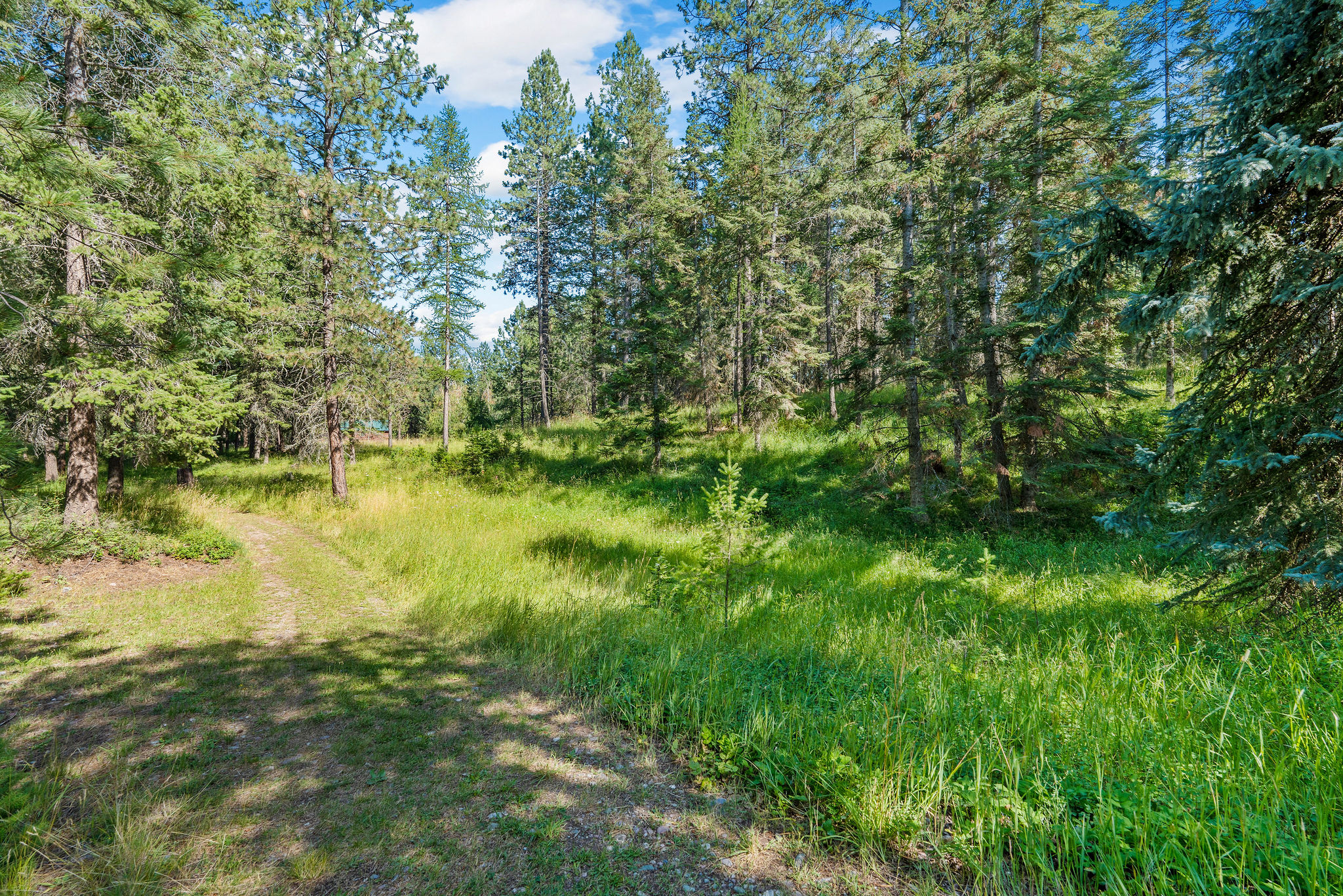 890 Mccaffery Road Property Photo 54