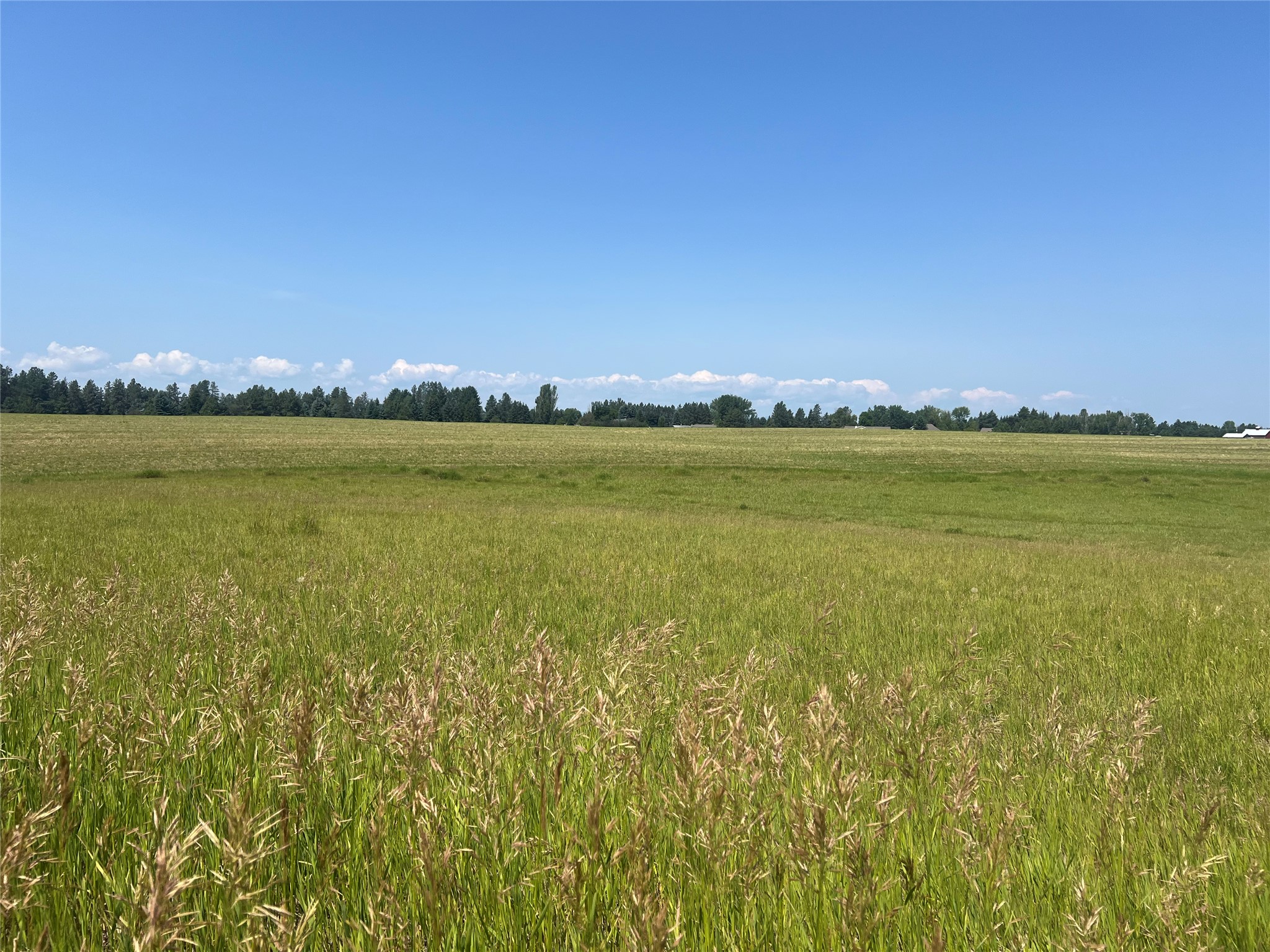 1330 Quail Ridge Drive Property Photo 13