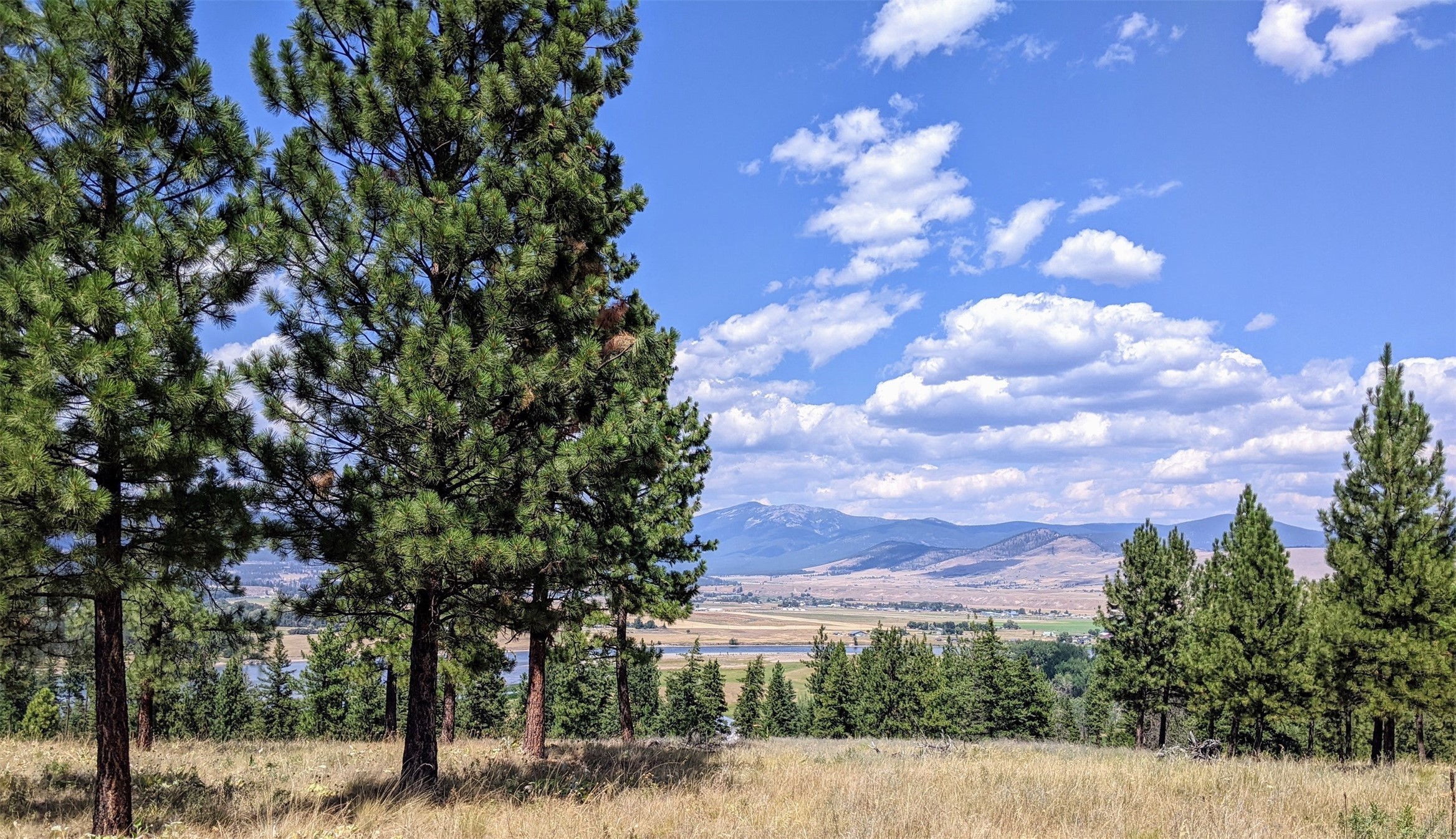 Lot 29 Leiber Road Property Photo