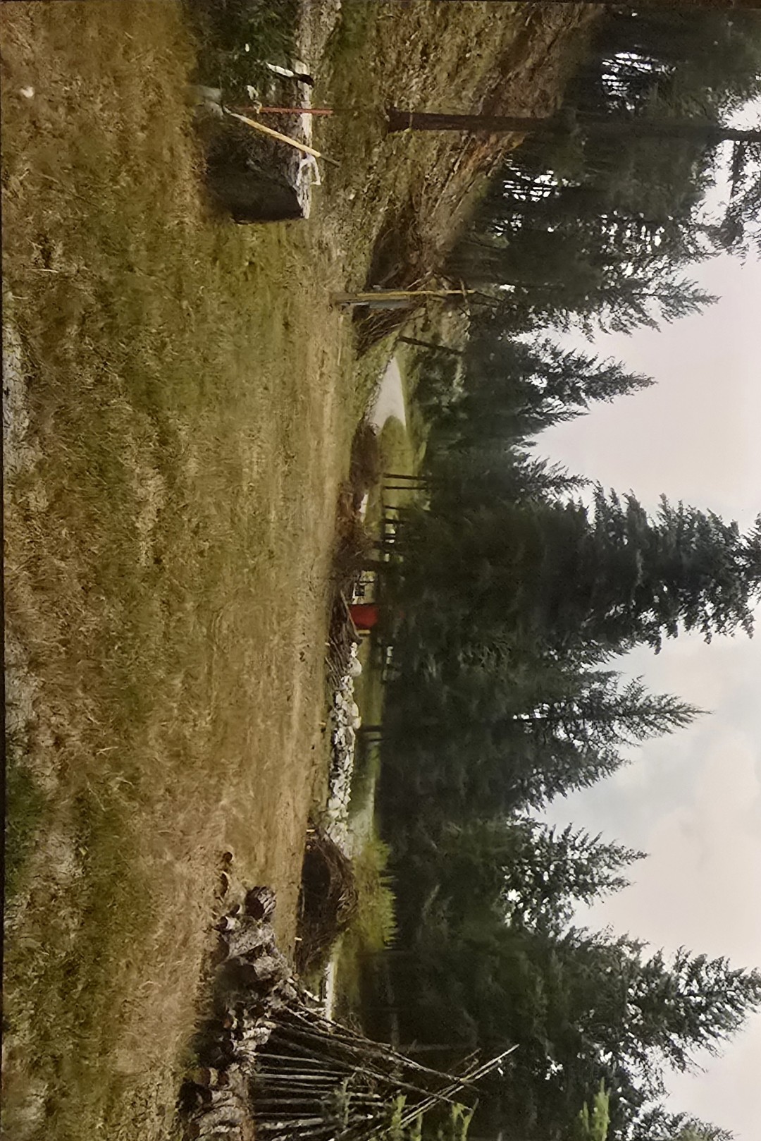 434 Kettlehorn Drive N Property Photo 46