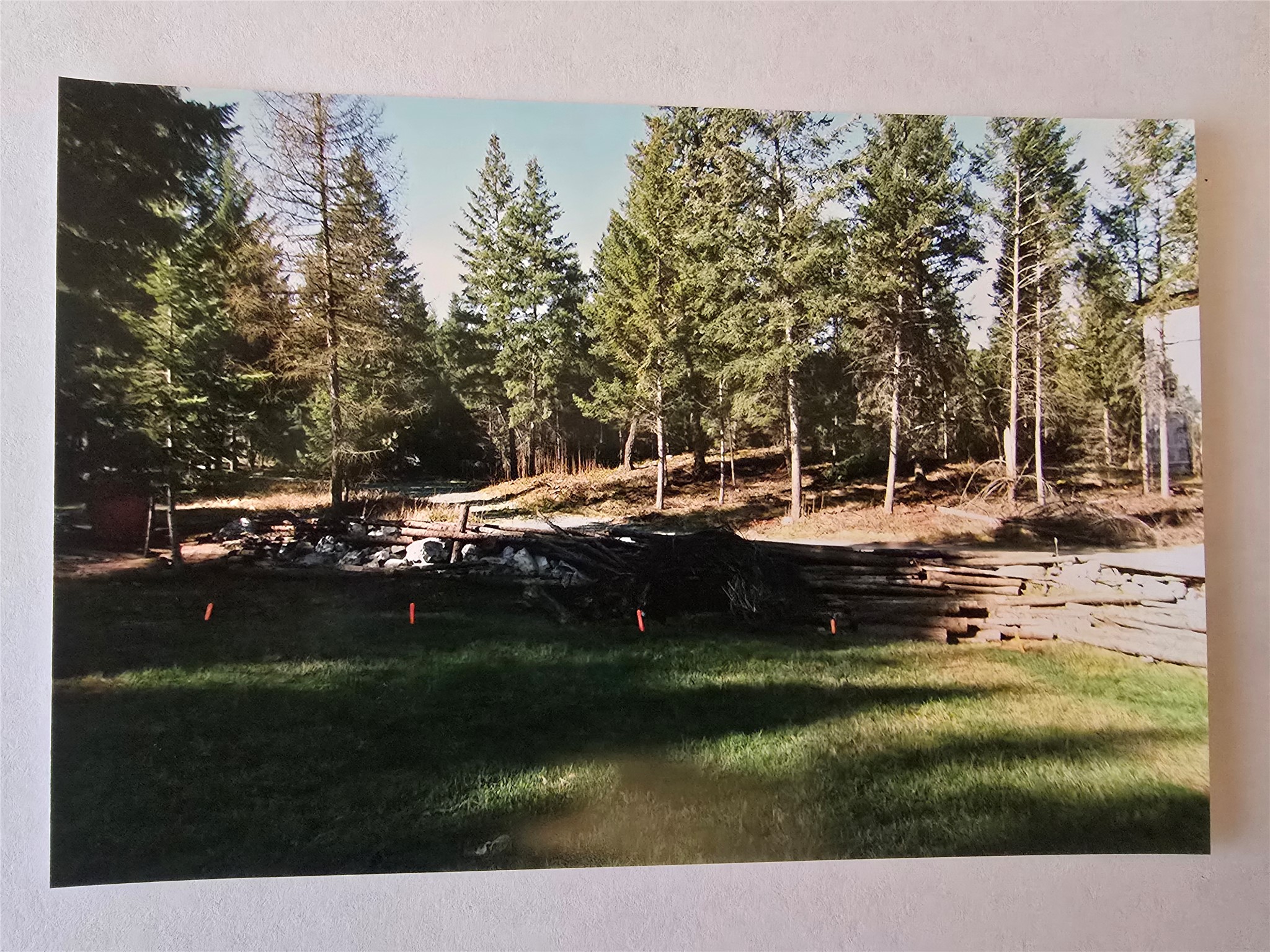 434 Kettlehorn Drive N Property Photo 52