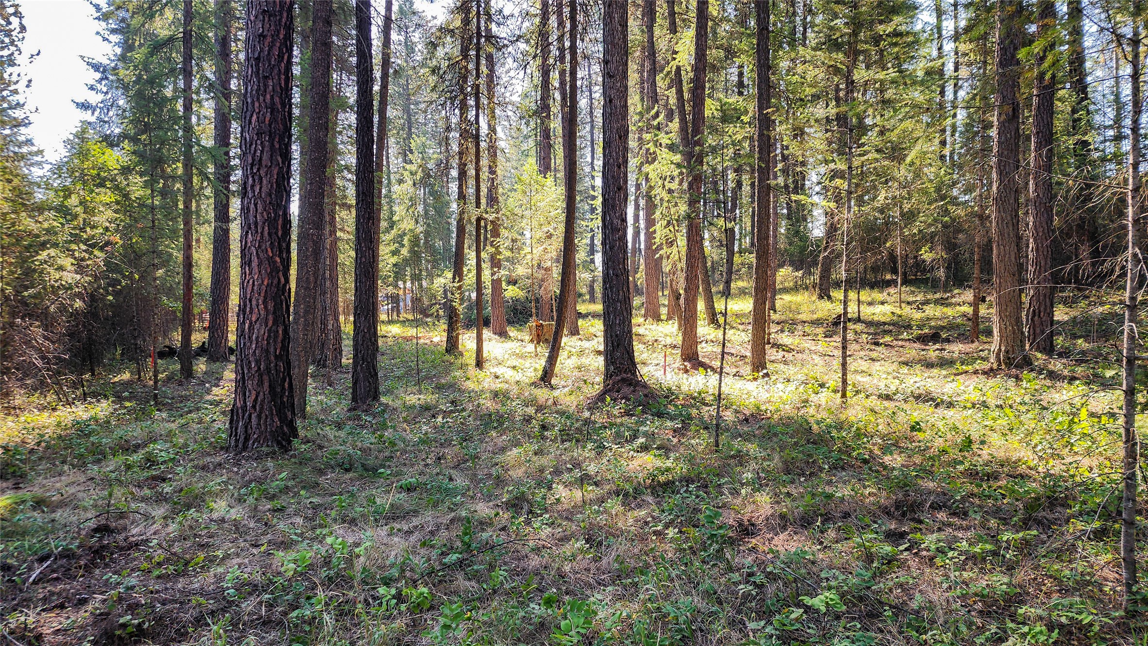 1505 Kootenai River Road Property Photo