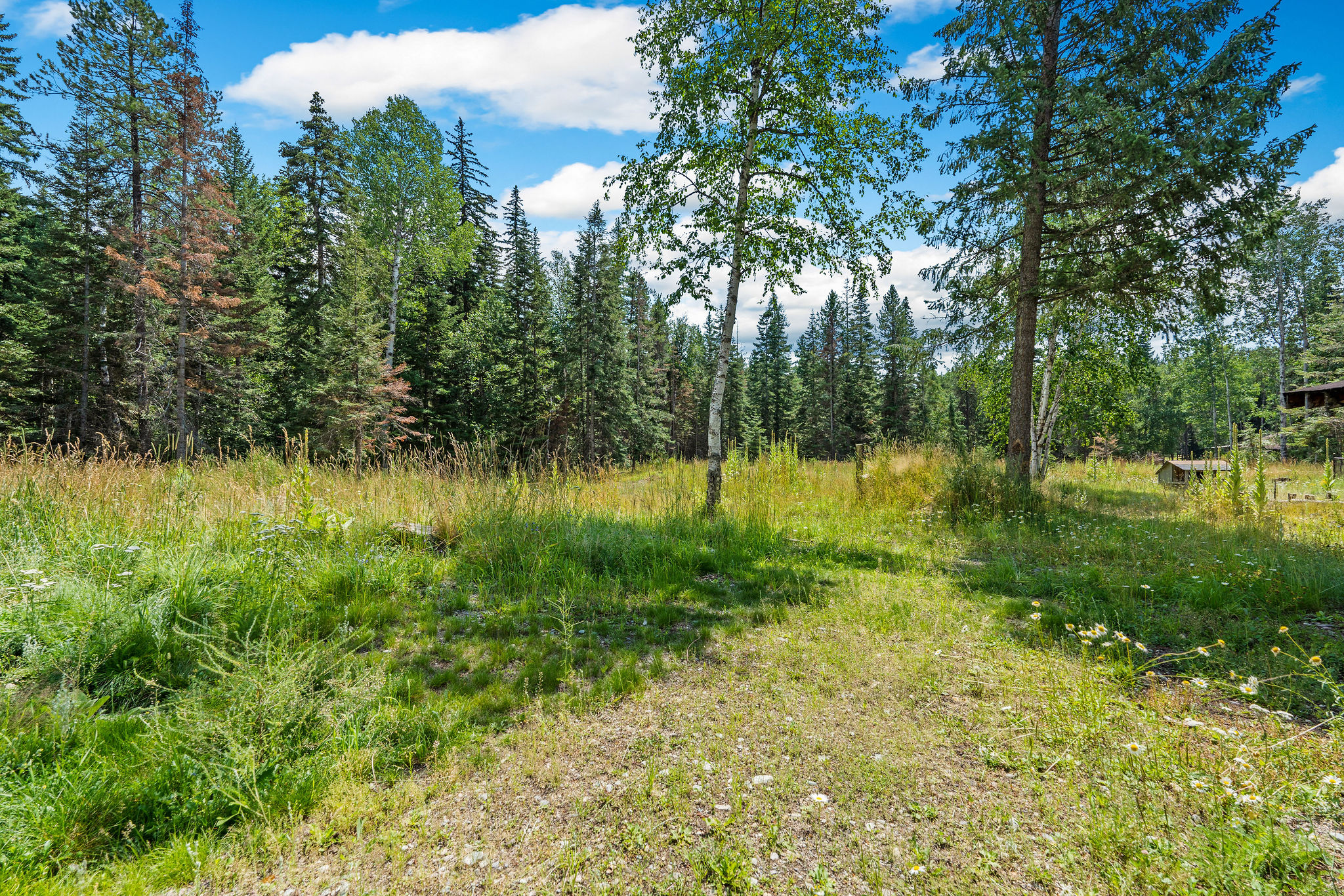 30580 Cayuse Lane Property Photo 53