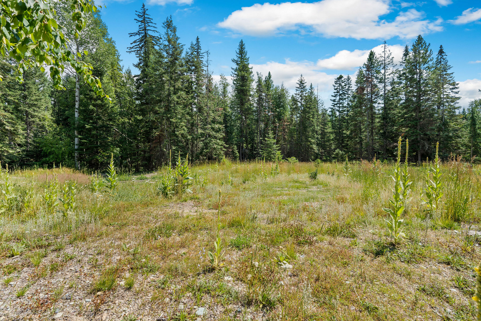 30580 Cayuse Lane Property Photo 54