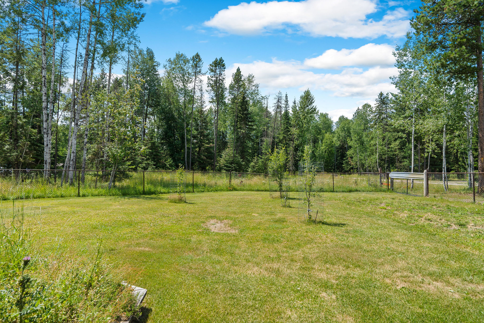 30580 Cayuse Lane Property Photo 56