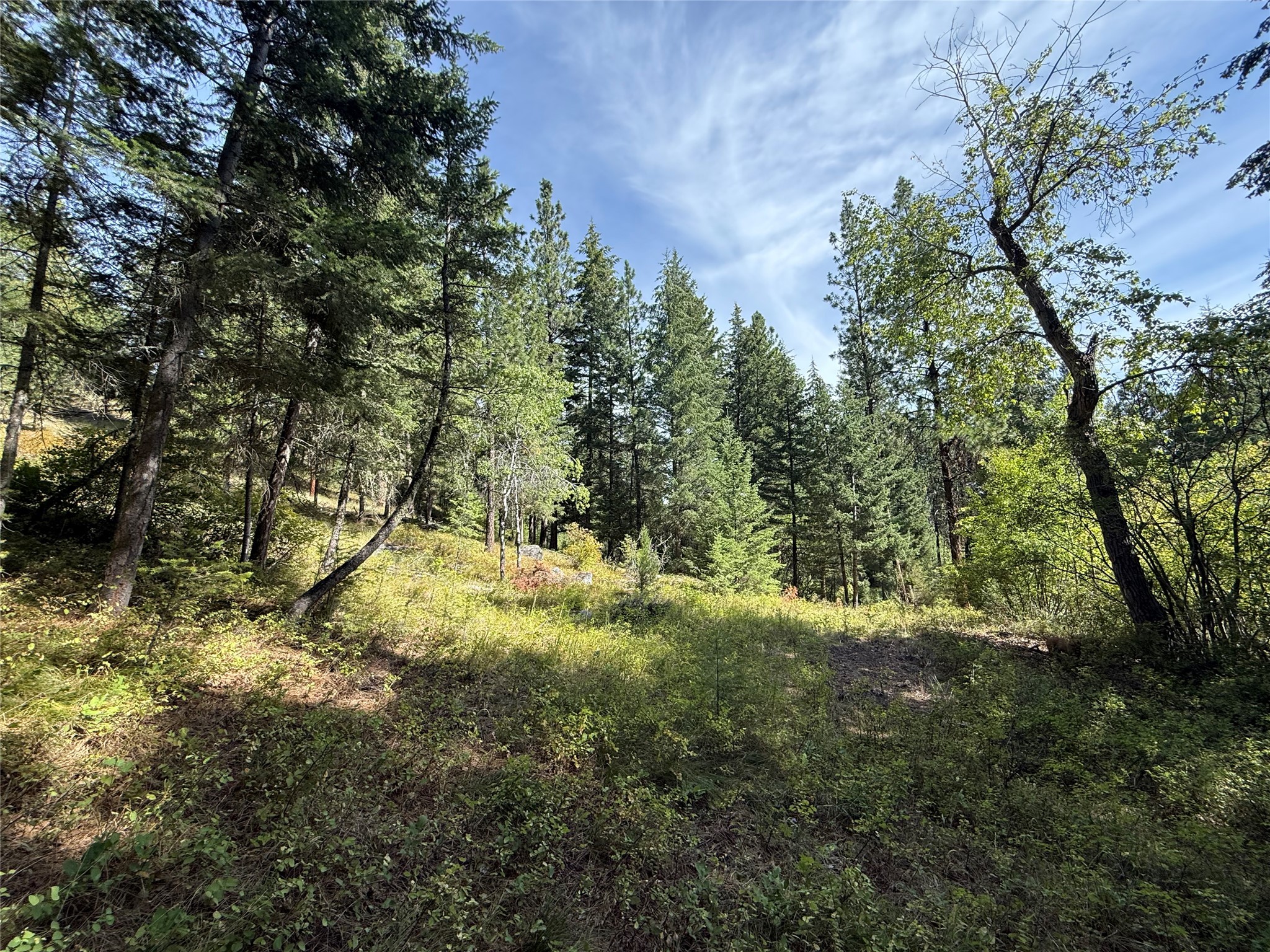 Nkn Wyant Lane Property Photo 1