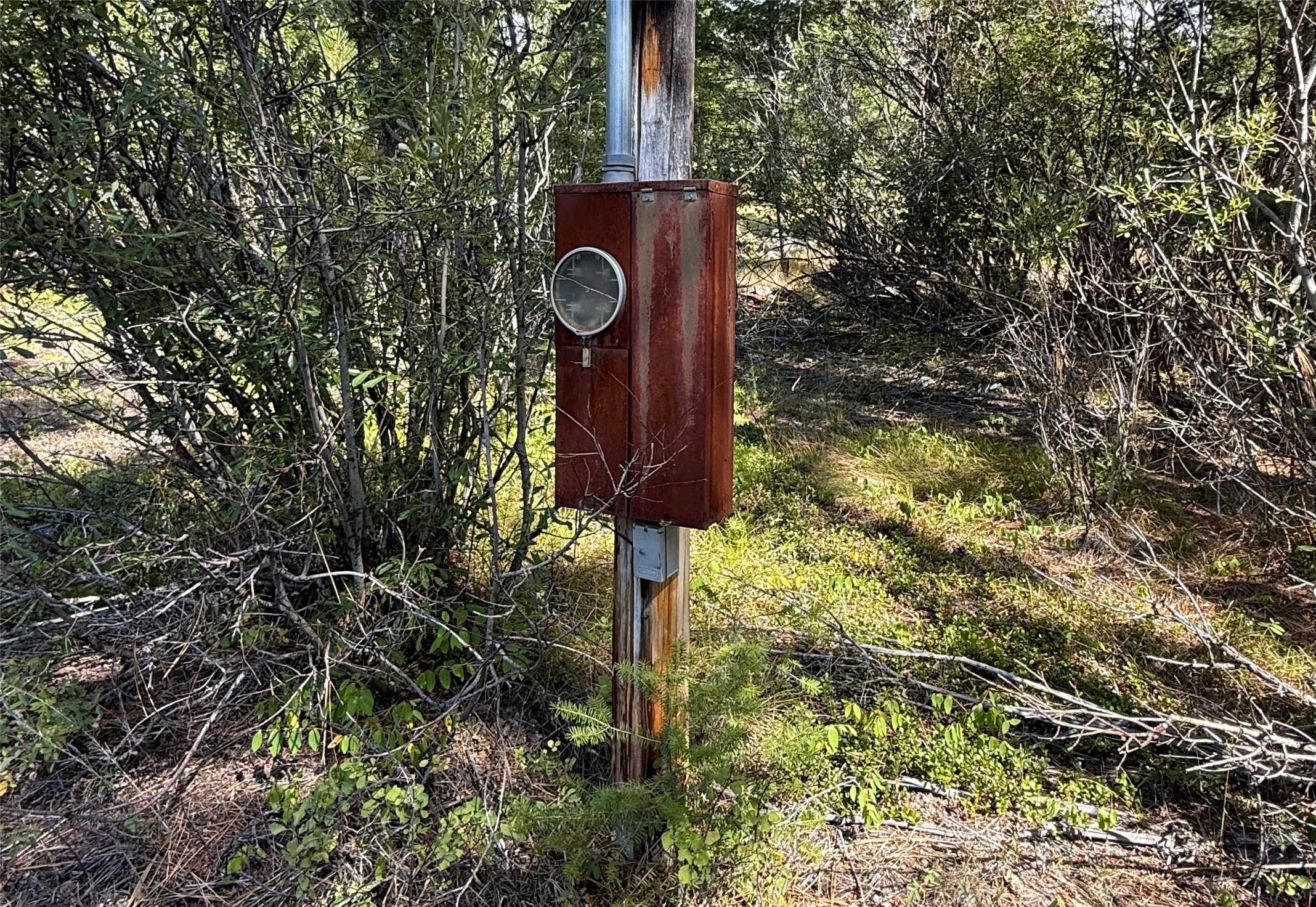 Nkn Wyant Lane Property Photo 2