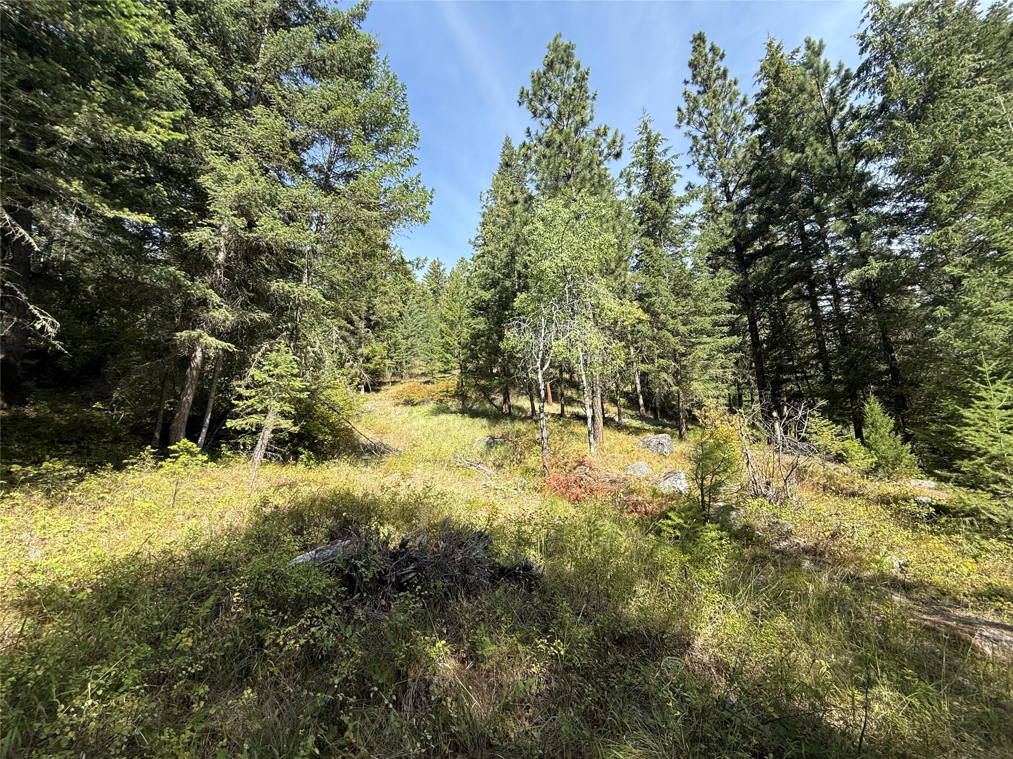 Nkn Wyant Lane Property Photo 3