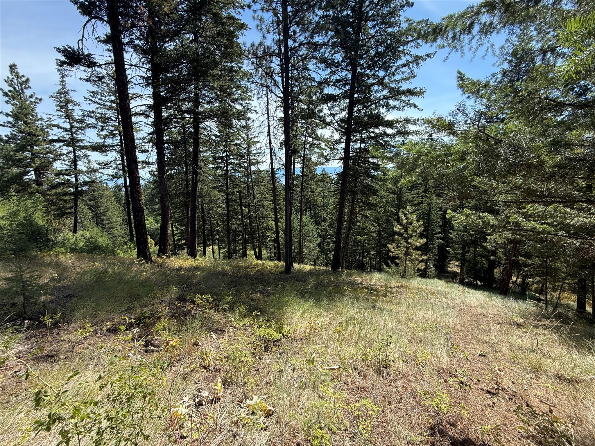 Nkn Wyant Lane Property Photo 4