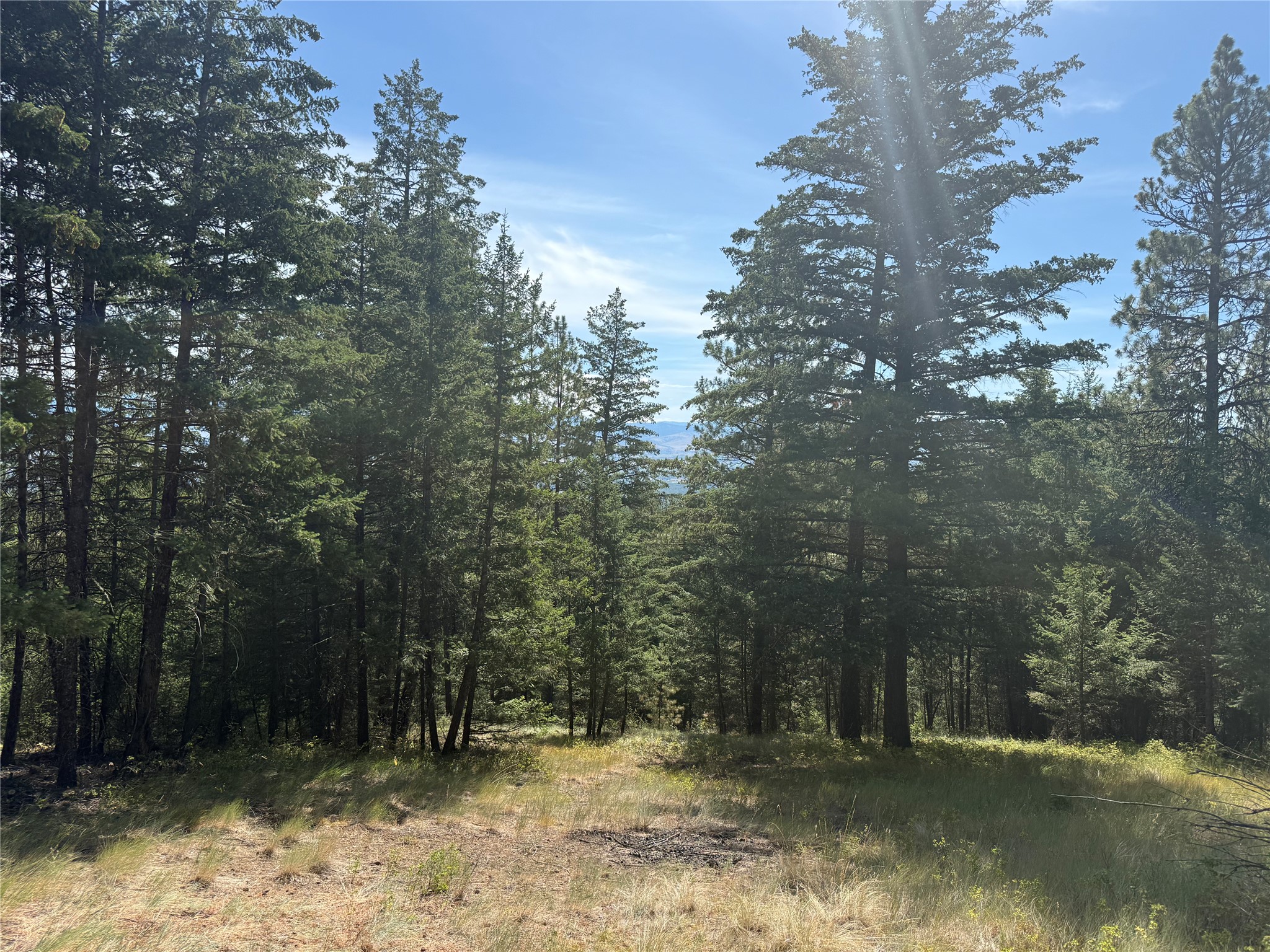 Nkn Wyant Lane Property Photo 5