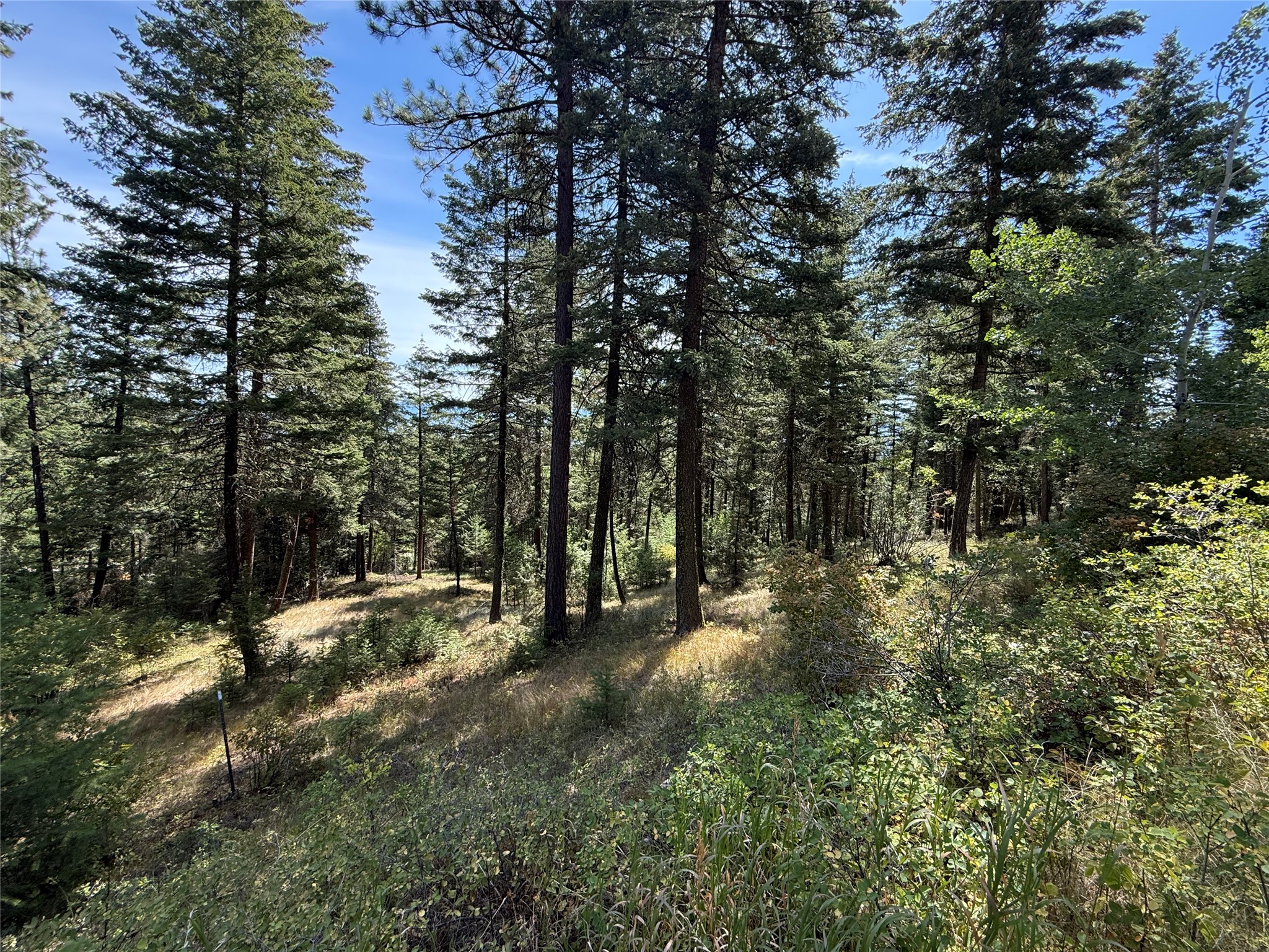 Nkn Wyant Lane Property Photo 8