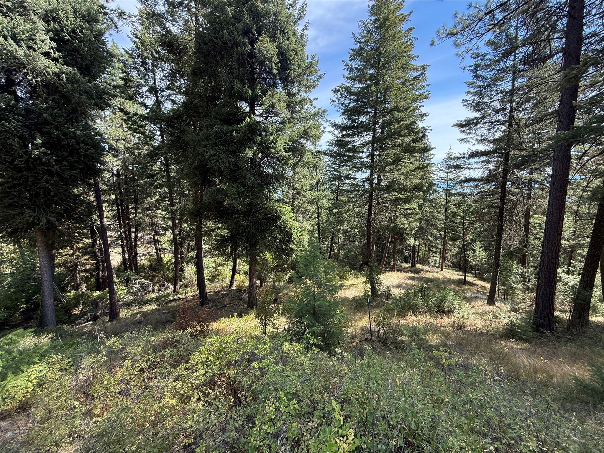 Nkn Wyant Lane Property Photo 9