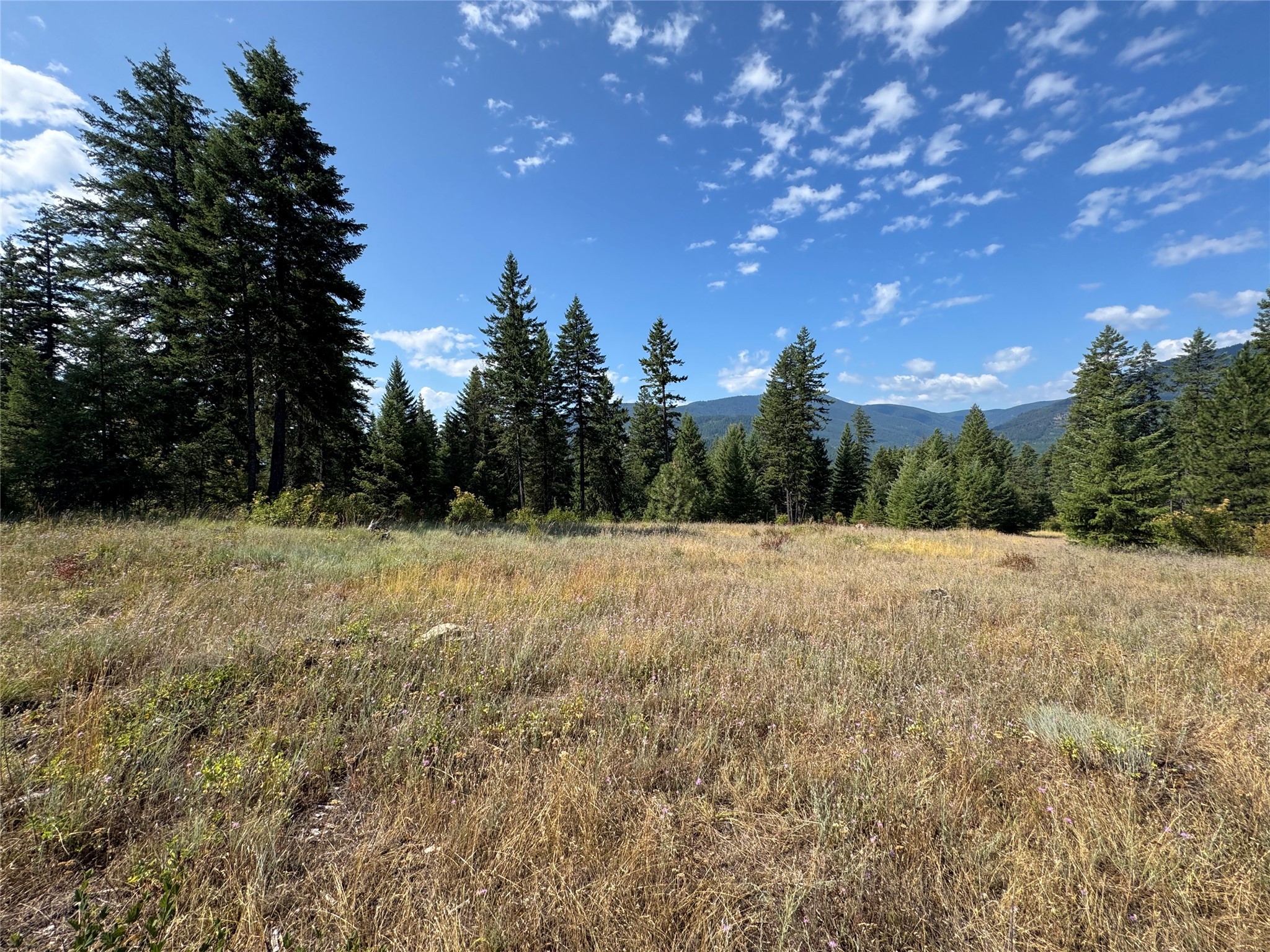 Nhn Green Ridge Road Property Photo 1