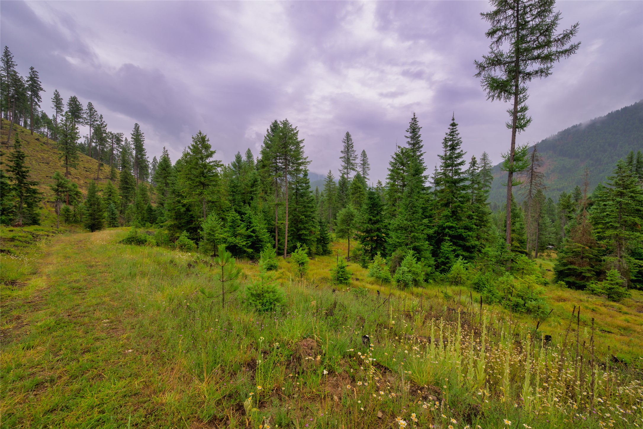 435 Cabin City Loop Property Photo 15