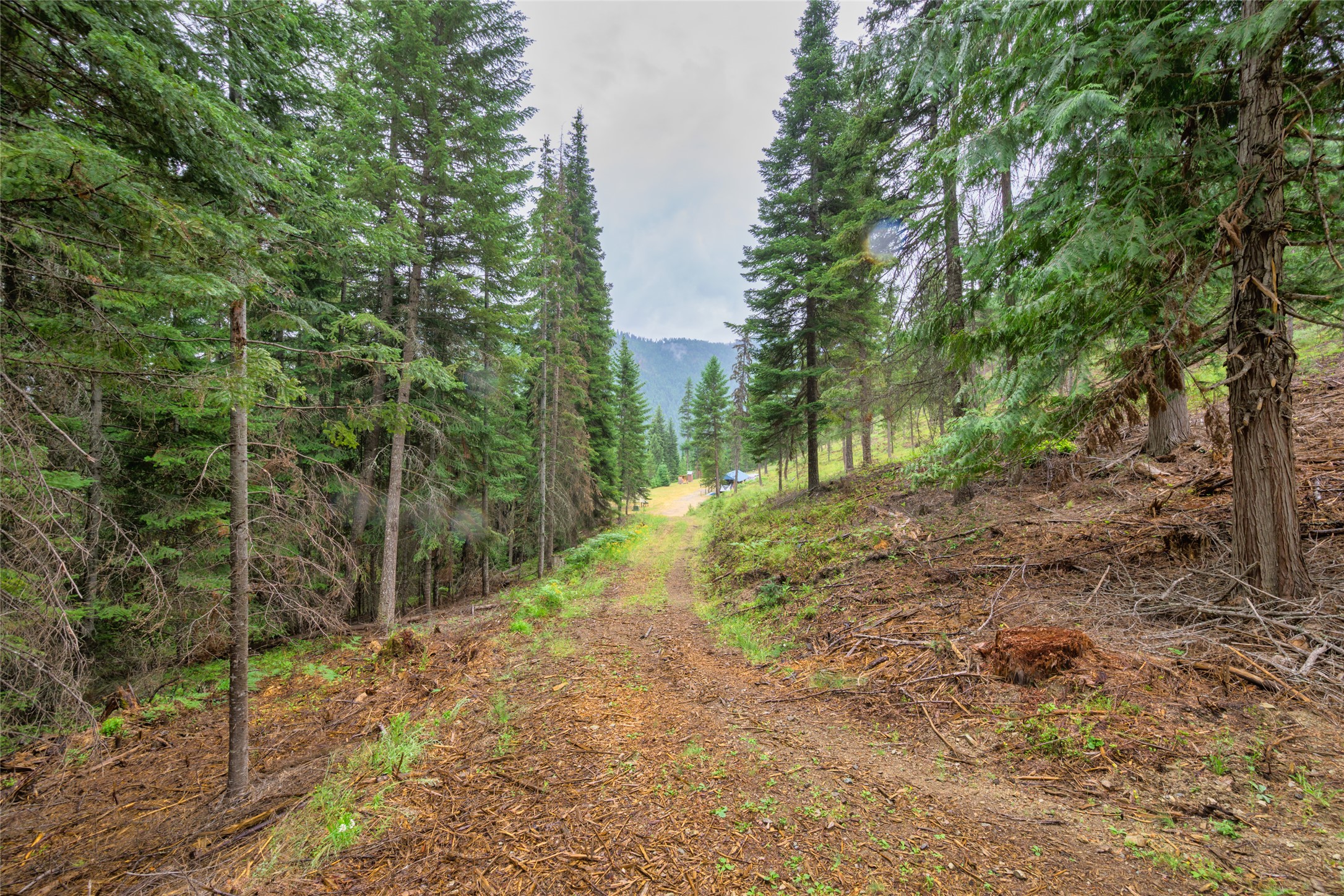 435 Cabin City Loop Property Photo 40