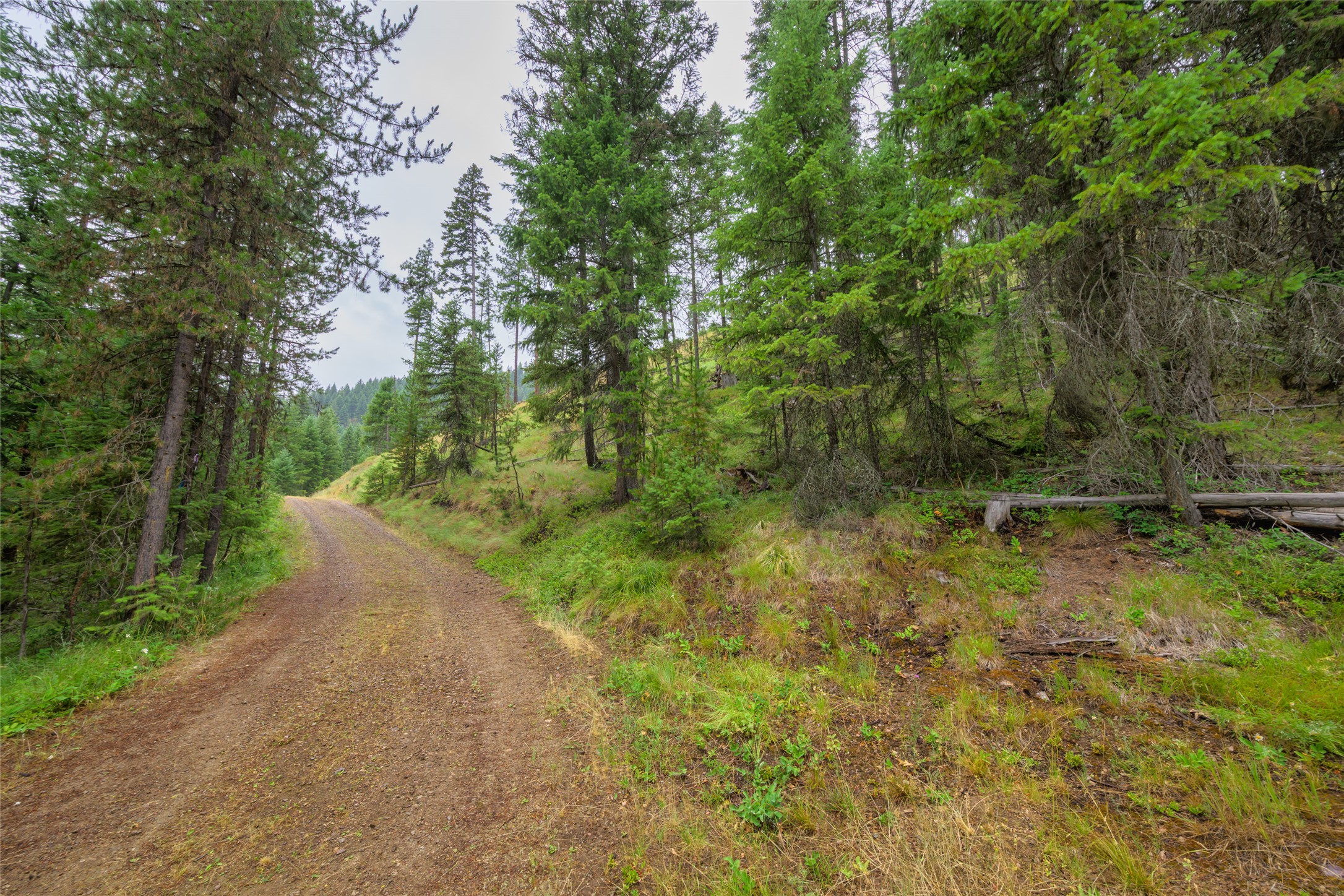435 Cabin City Loop Property Photo 43