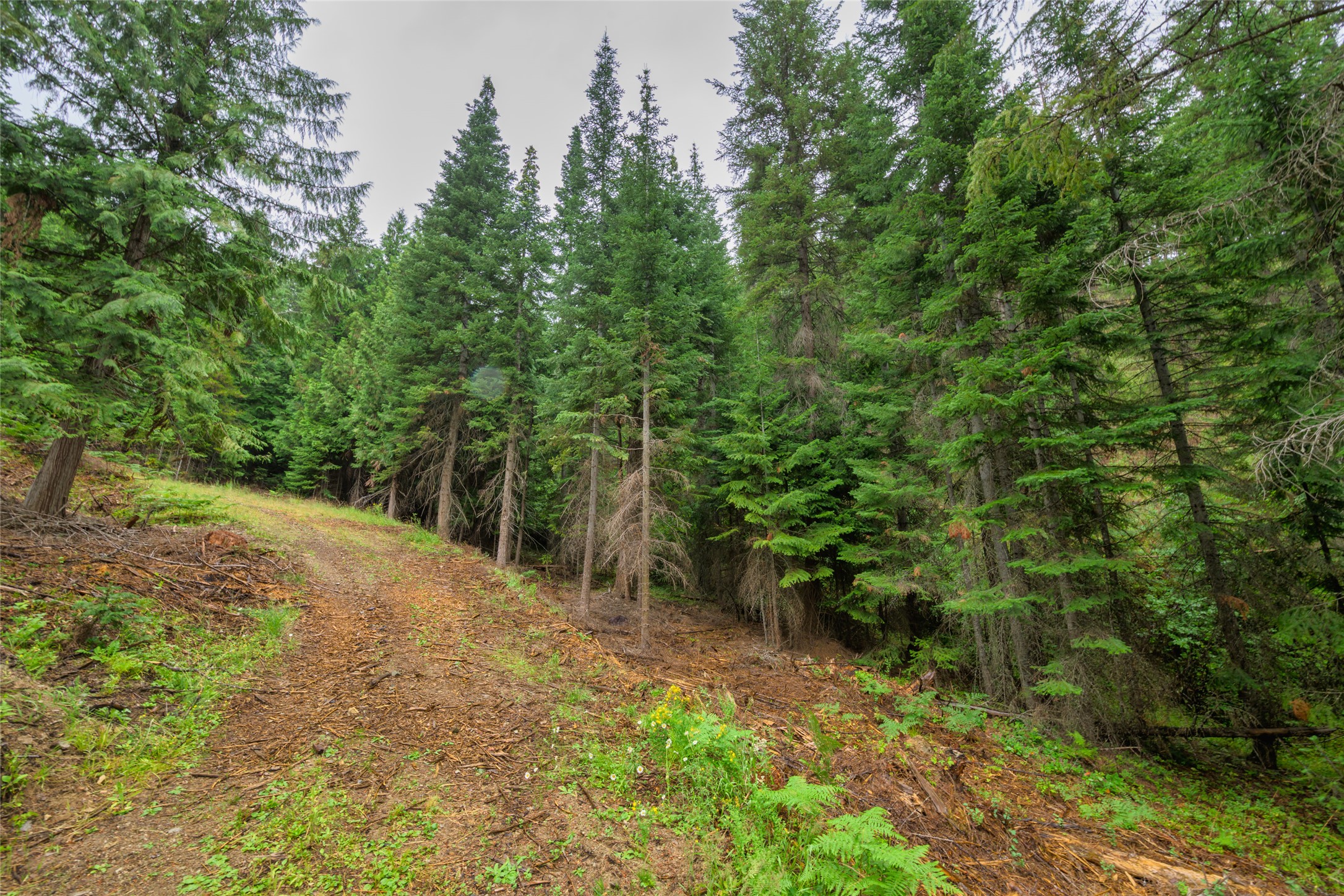 435 Cabin City Loop Property Photo 46