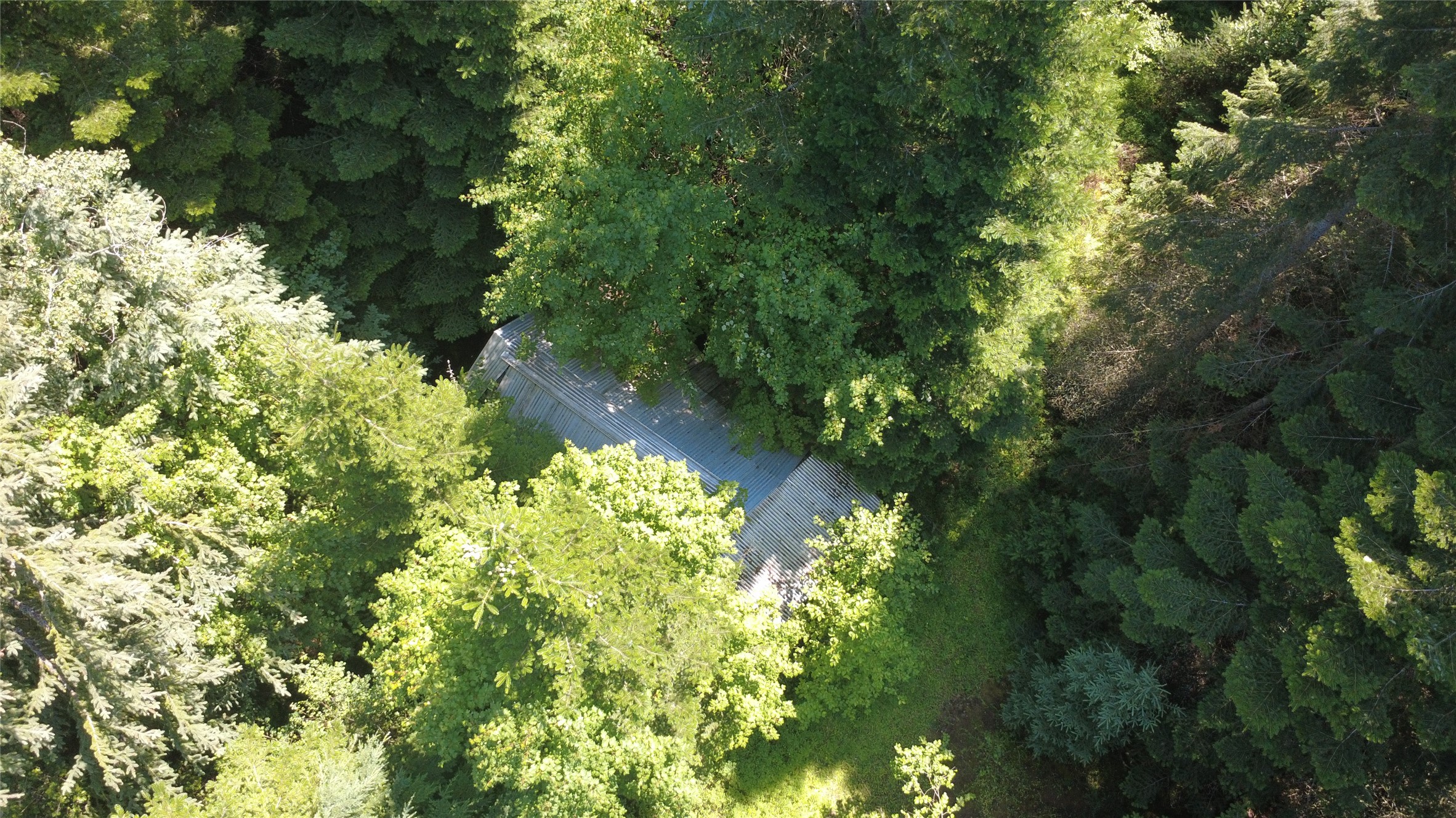 905 Freeman Ridge Road Property Photo 6
